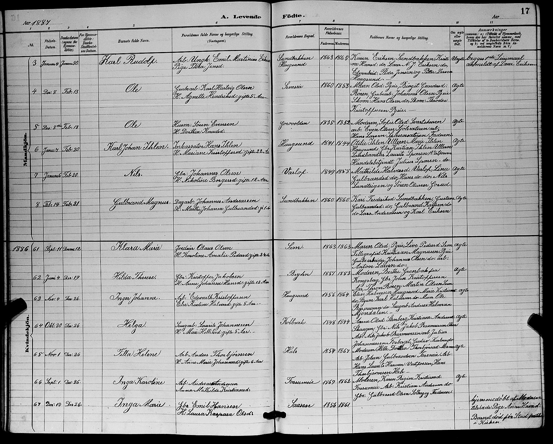 Eiker kirkebøker, AV/SAKO-A-4/G/Ga/L0006: Parish register (copy) no. I 6, 1885-1893, p. 17