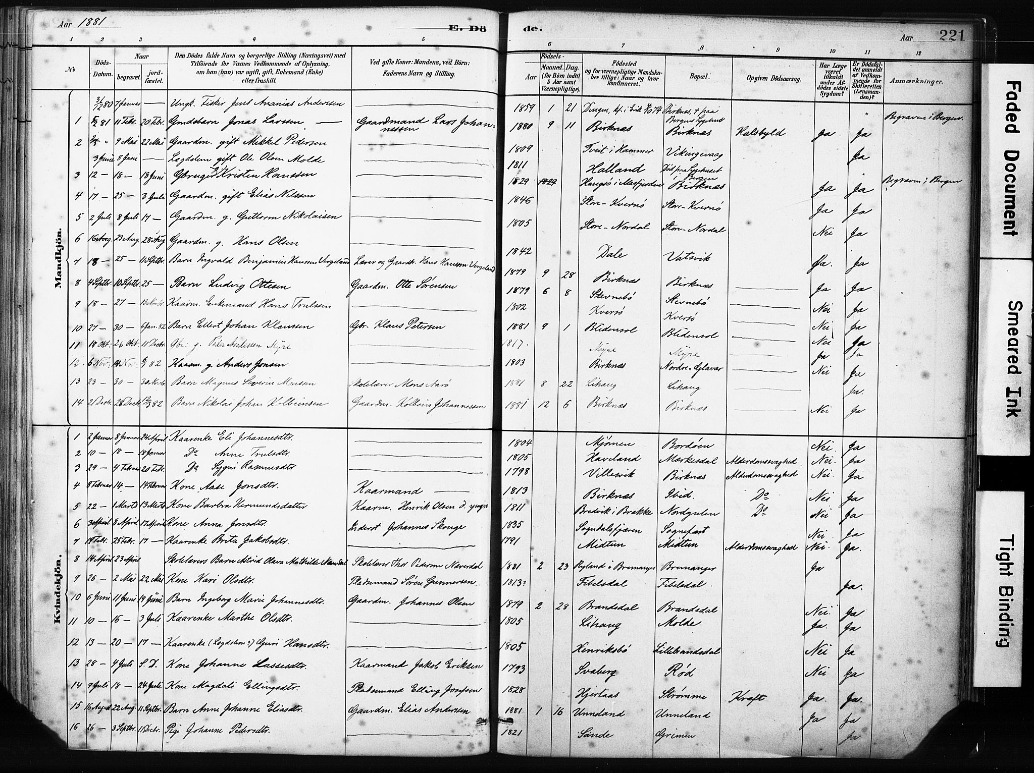 Gulen sokneprestembete, SAB/A-80201/H/Haa/Haab/L0001: Parish register (official) no. B 1, 1881-1905, p. 221