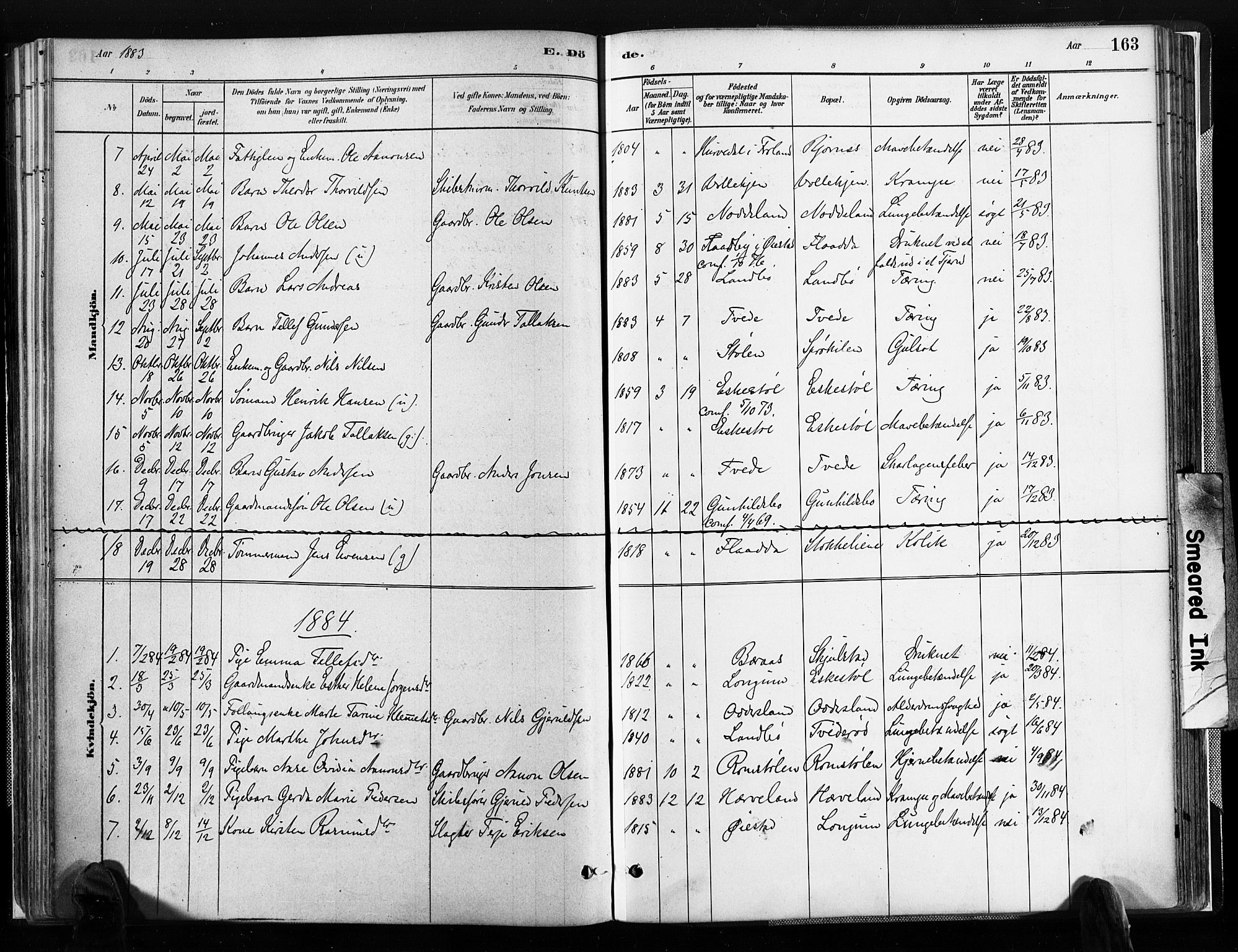 Austre Moland sokneprestkontor, SAK/1111-0001/F/Fa/Faa/L0010: Parish register (official) no. A 10, 1880-1904, p. 163