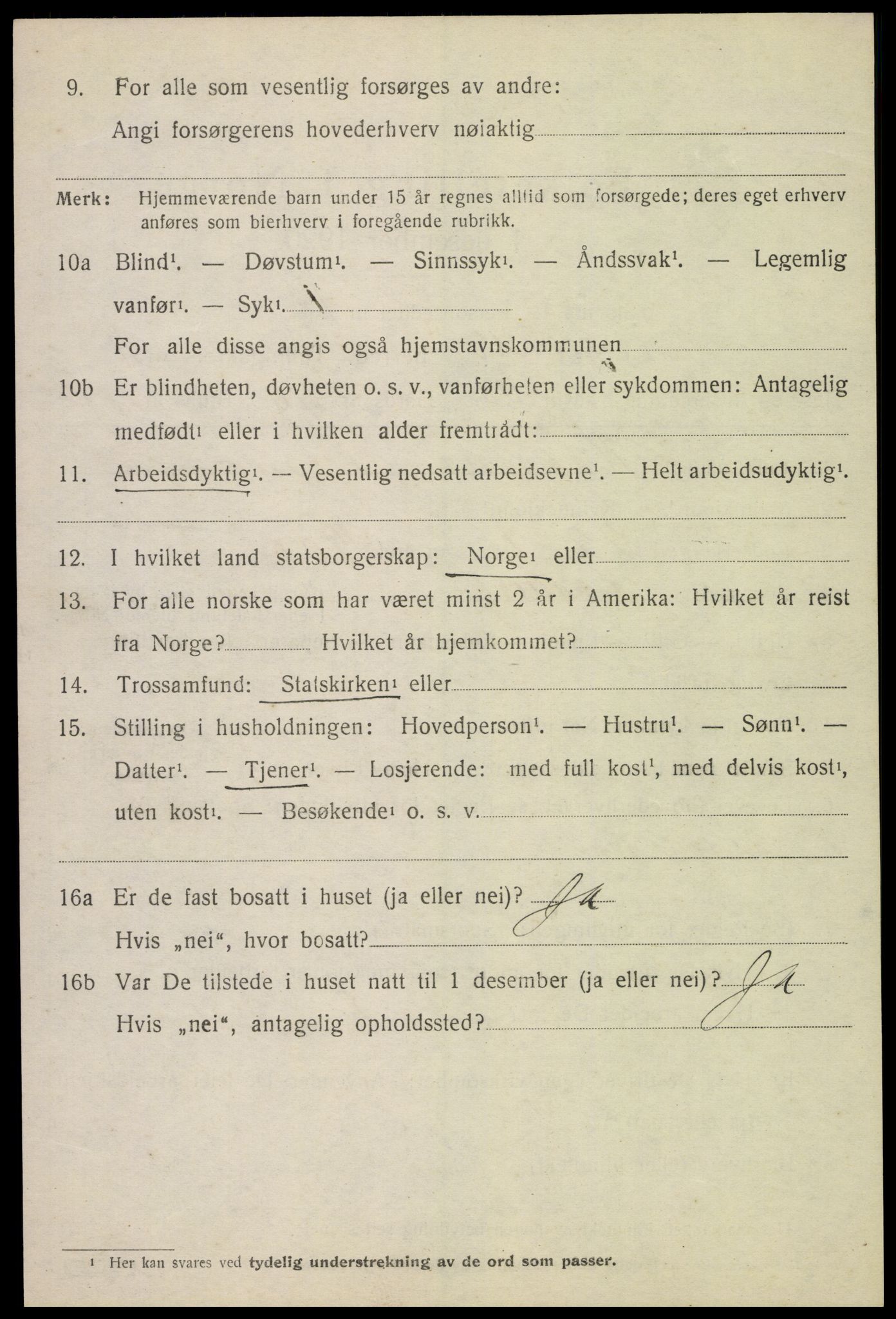 SAH, 1920 census for Ringsaker, 1920, p. 19063