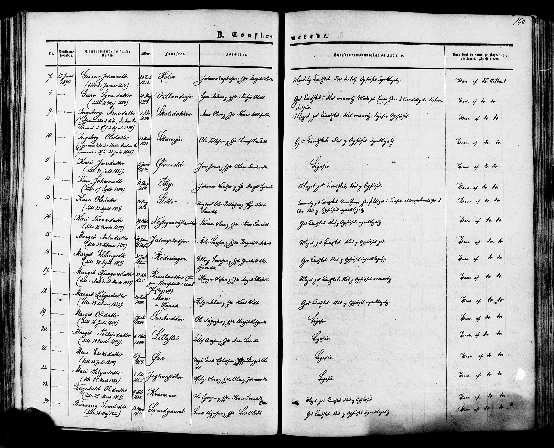 Hol kirkebøker, SAKO/A-227/F/Fa/L0002: Parish register (official) no. I 2, 1870-1886, p. 160