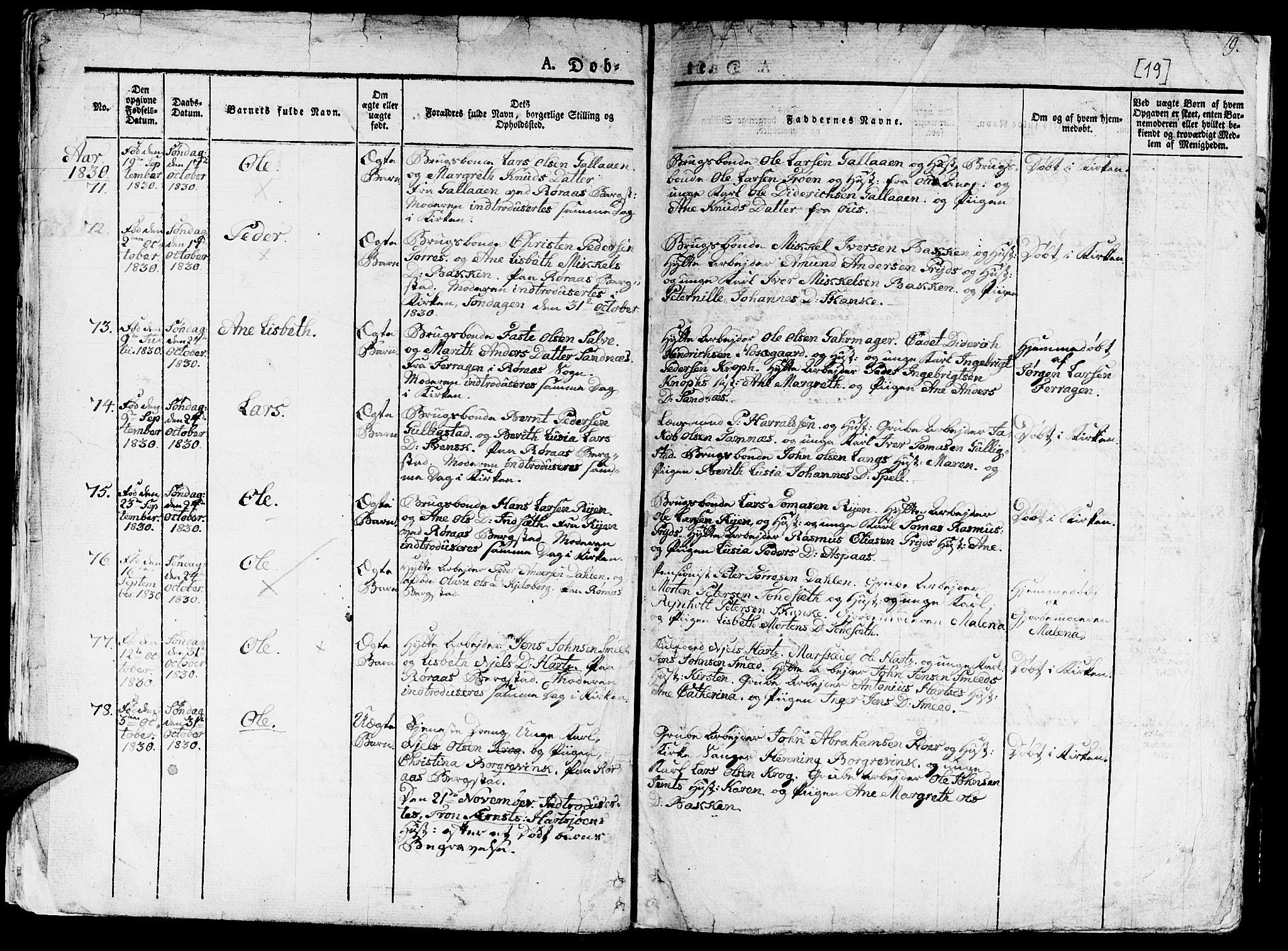 Ministerialprotokoller, klokkerbøker og fødselsregistre - Sør-Trøndelag, AV/SAT-A-1456/681/L0938: Parish register (copy) no. 681C02, 1829-1879, p. 19