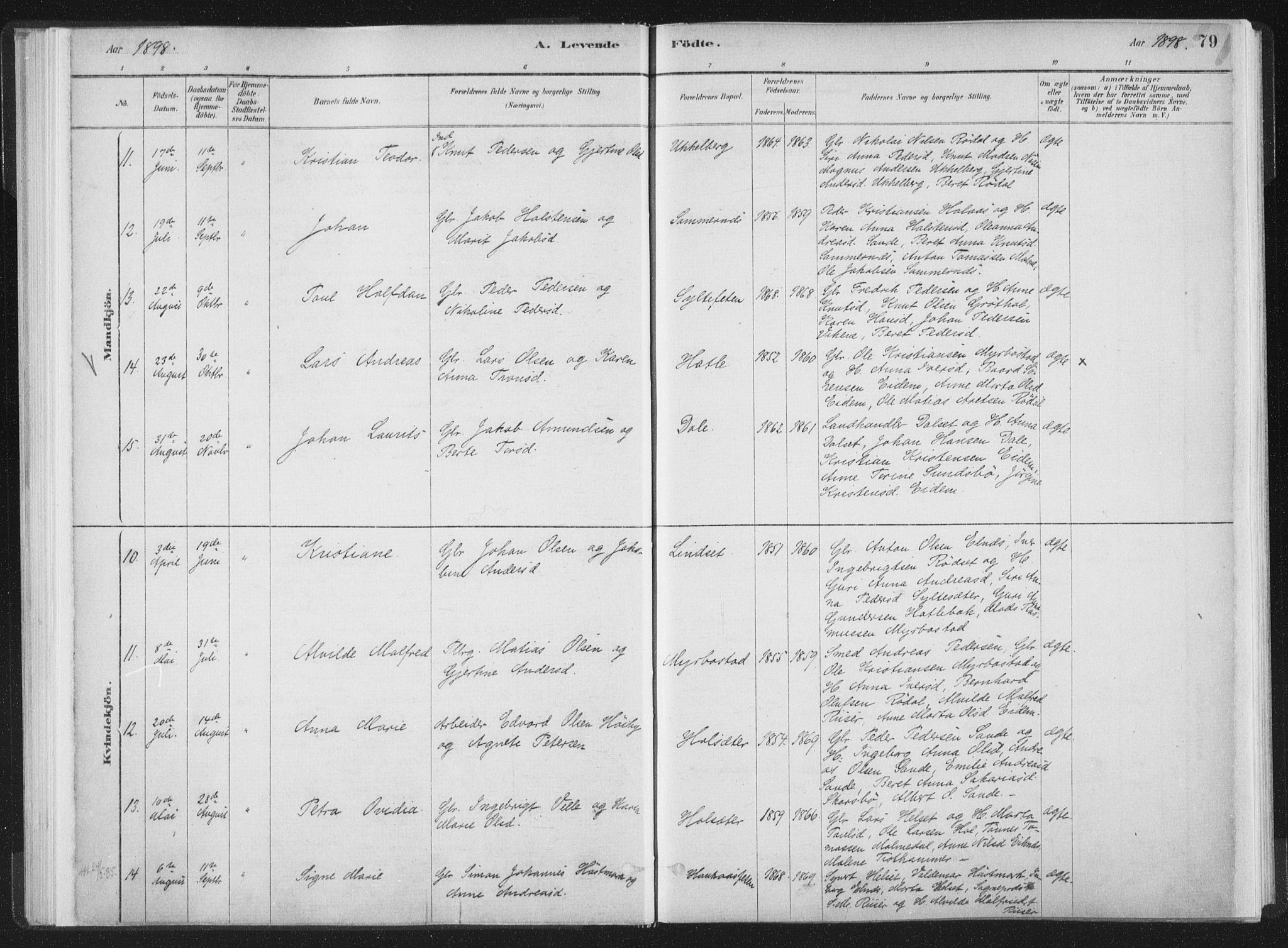 Ministerialprotokoller, klokkerbøker og fødselsregistre - Møre og Romsdal, SAT/A-1454/564/L0740: Parish register (official) no. 564A01, 1880-1899, p. 79