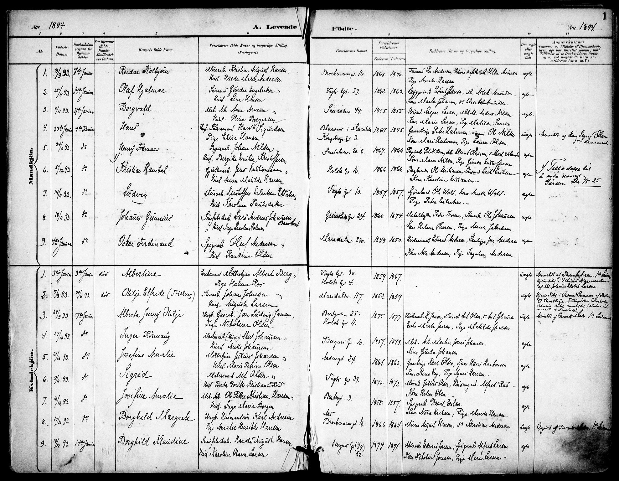 Sagene prestekontor Kirkebøker, SAO/A-10796/F/L0004: Parish register (official) no. 4, 1894-1904, p. 1