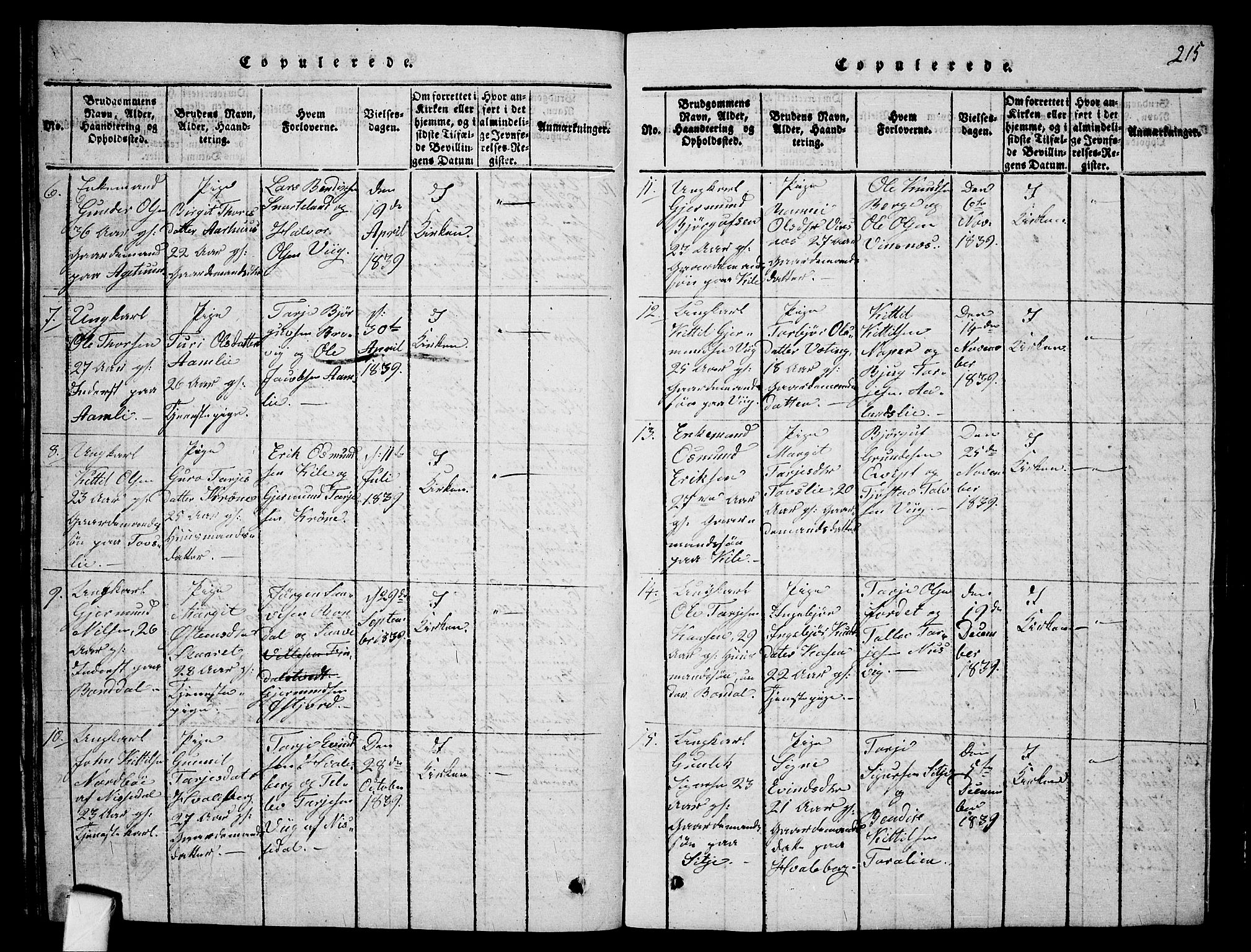 Fyresdal kirkebøker, SAKO/A-263/G/Ga/L0001: Parish register (copy) no. I 1, 1816-1840, p. 215