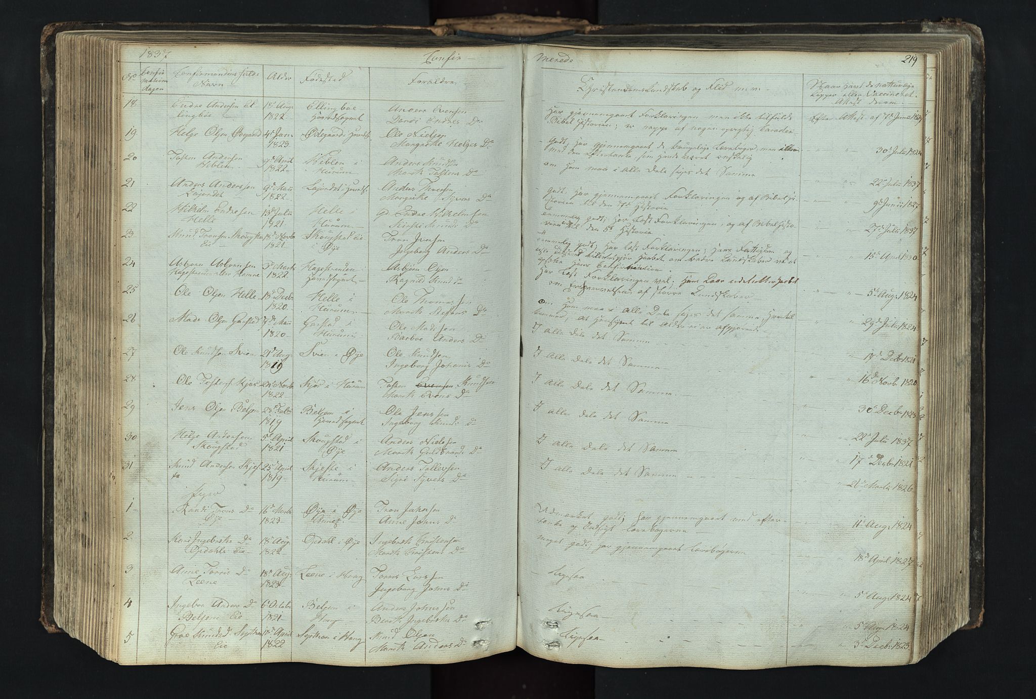 Vang prestekontor, Valdres, SAH/PREST-140/H/Hb/L0004: Parish register (copy) no. 4, 1835-1892, p. 219