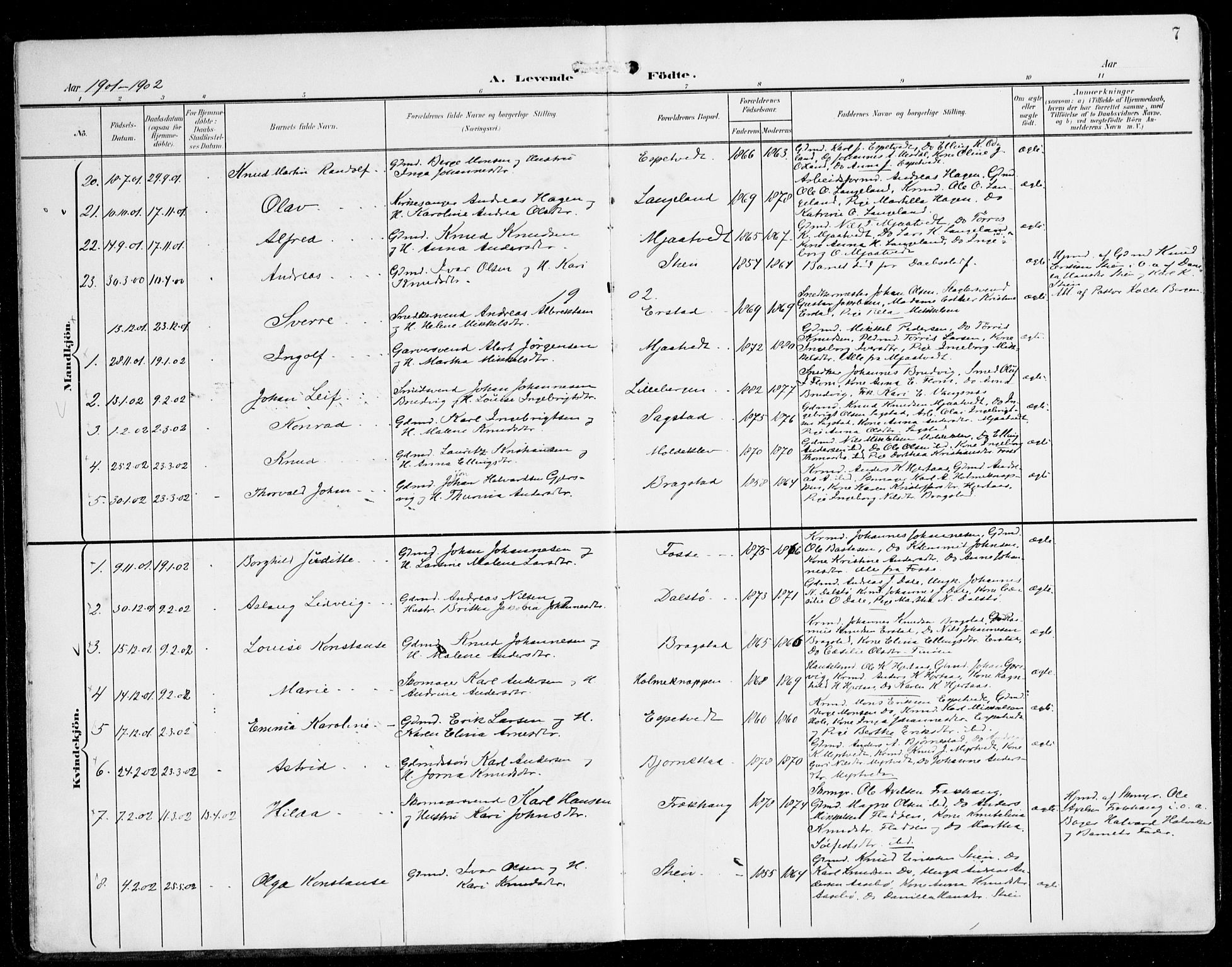 Alversund Sokneprestembete, SAB/A-73901/H/Ha/Haa/Haac/L0002: Parish register (official) no. C 2, 1901-1921, p. 7