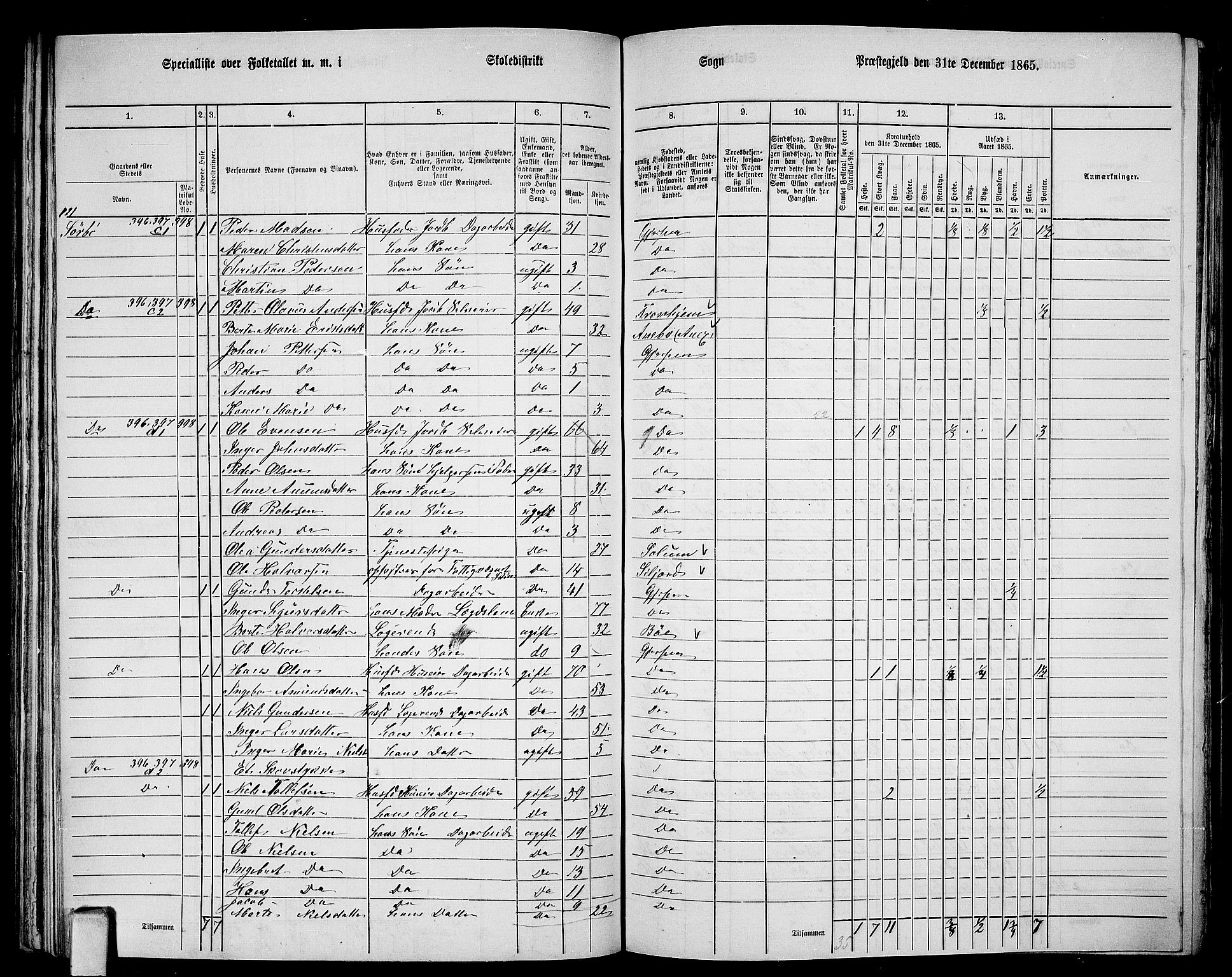 RA, 1865 census for Gjerpen, 1865, p. 181