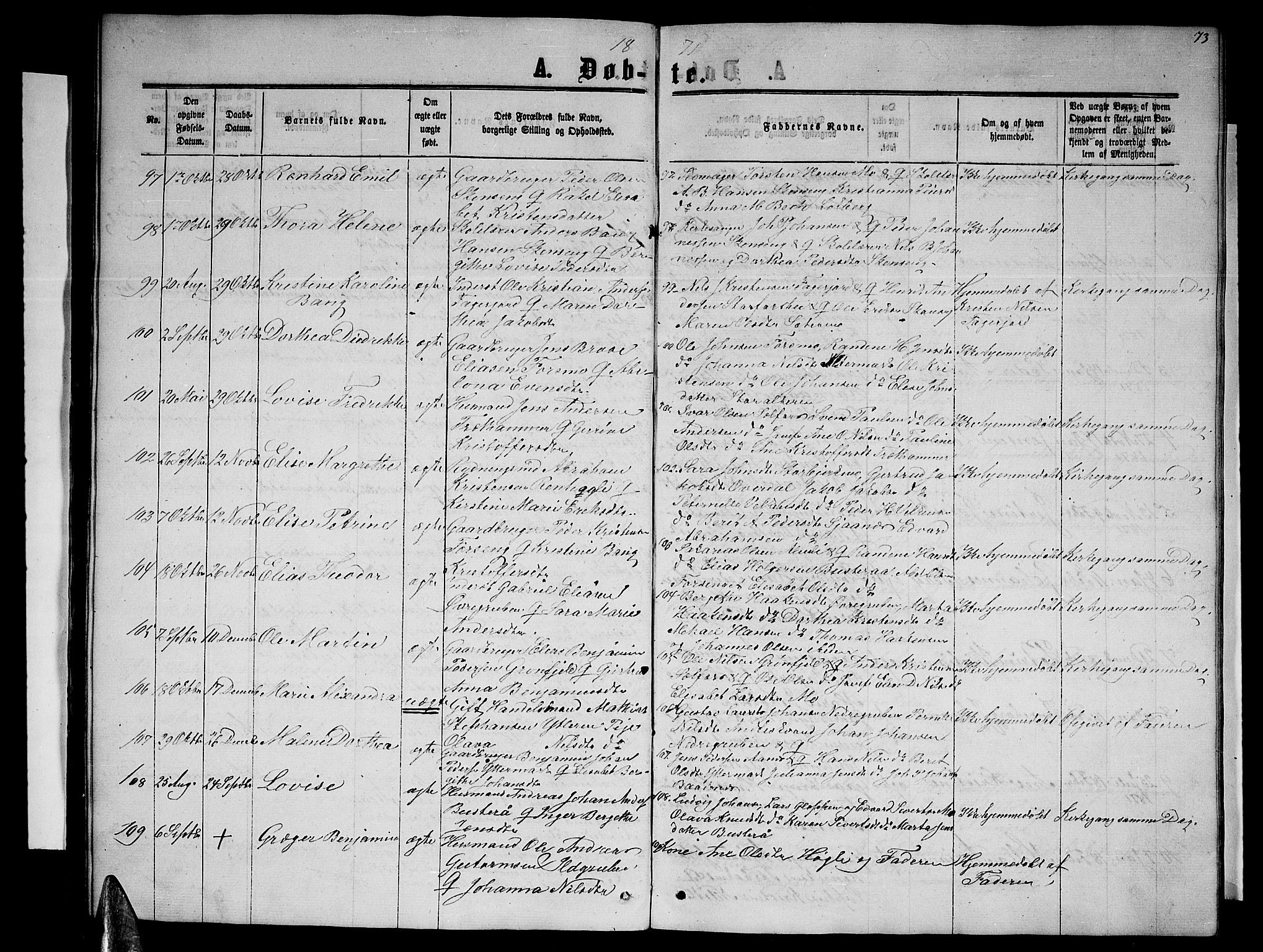 Ministerialprotokoller, klokkerbøker og fødselsregistre - Nordland, SAT/A-1459/827/L0415: Parish register (copy) no. 827C04, 1864-1886, p. 73