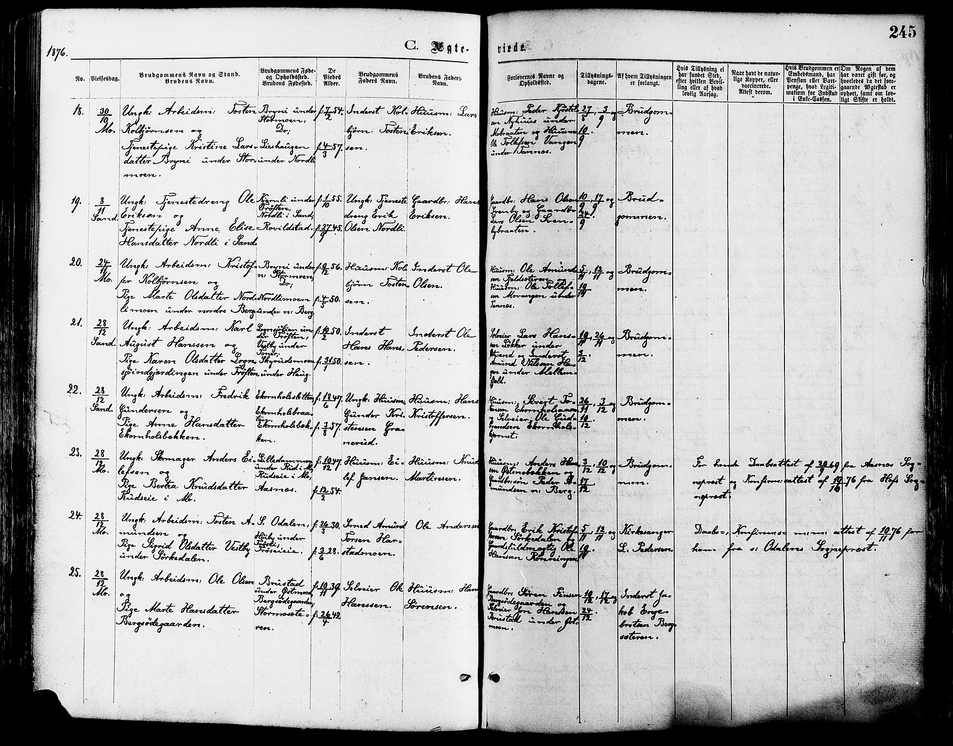 Nord-Odal prestekontor, AV/SAH-PREST-032/H/Ha/Haa/L0005: Parish register (official) no. 5, 1874-1885, p. 245