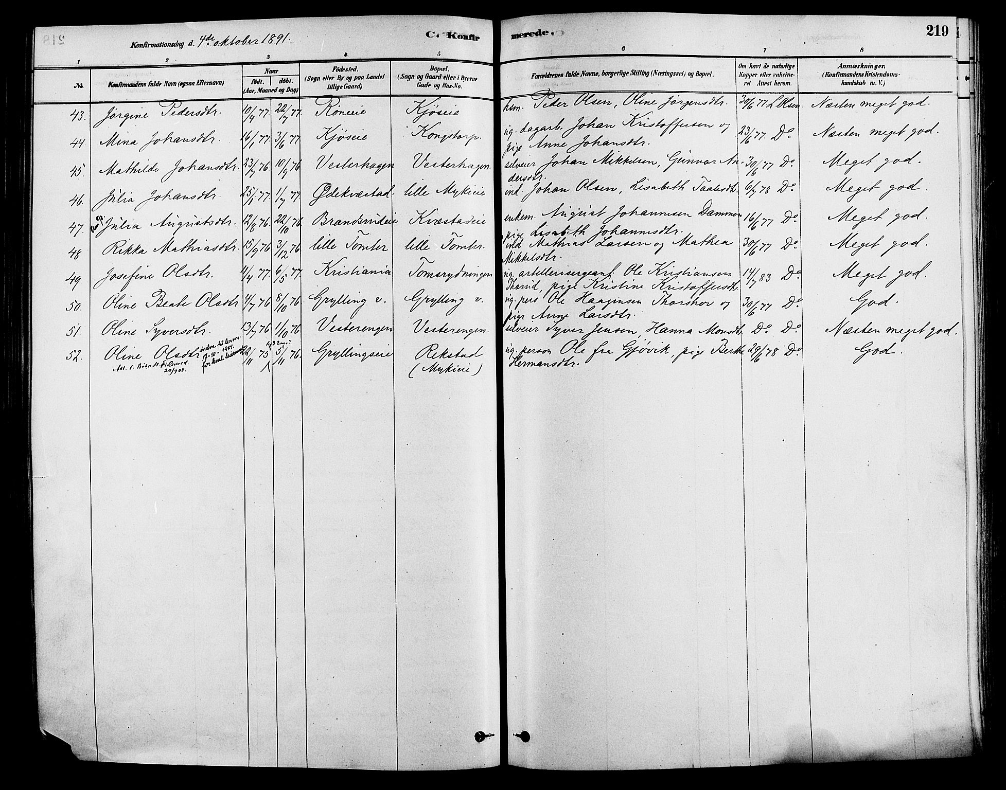 Løten prestekontor, AV/SAH-PREST-022/K/Ka/L0009: Parish register (official) no. 9, 1878-1891, p. 219