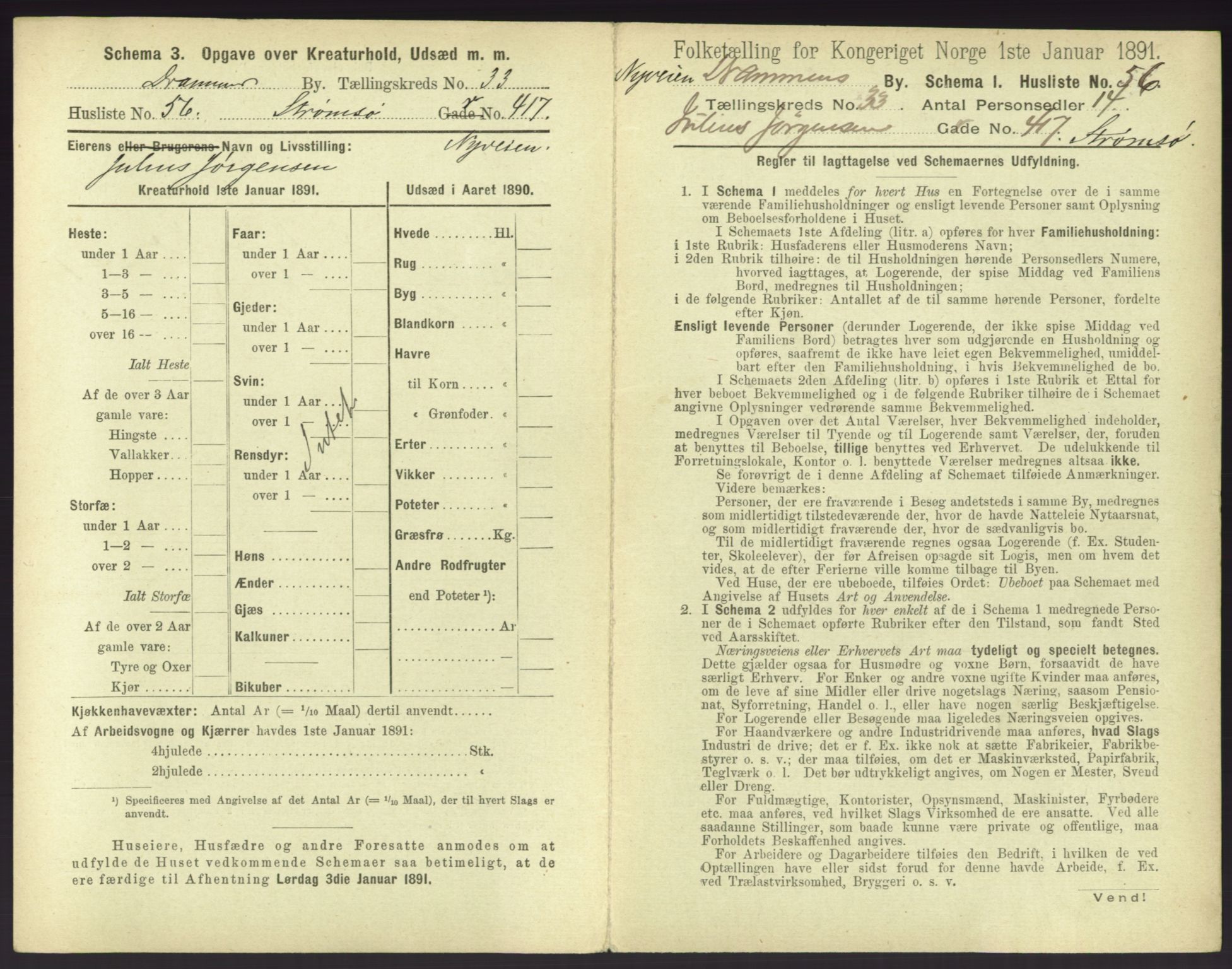 RA, 1891 census for 0602 Drammen, 1891, p. 2981