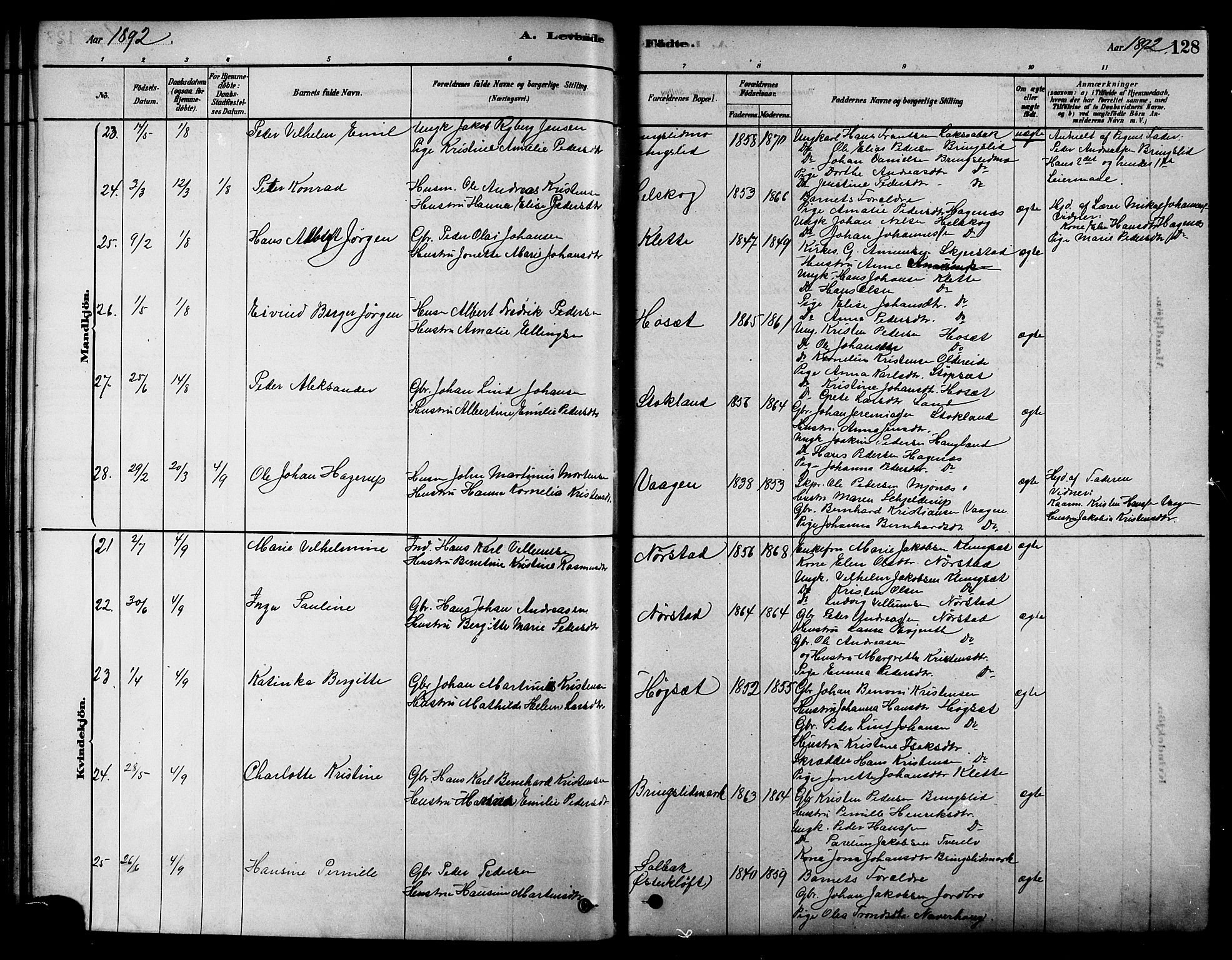 Ministerialprotokoller, klokkerbøker og fødselsregistre - Nordland, AV/SAT-A-1459/852/L0740: Parish register (official) no. 852A10, 1878-1894, p. 128