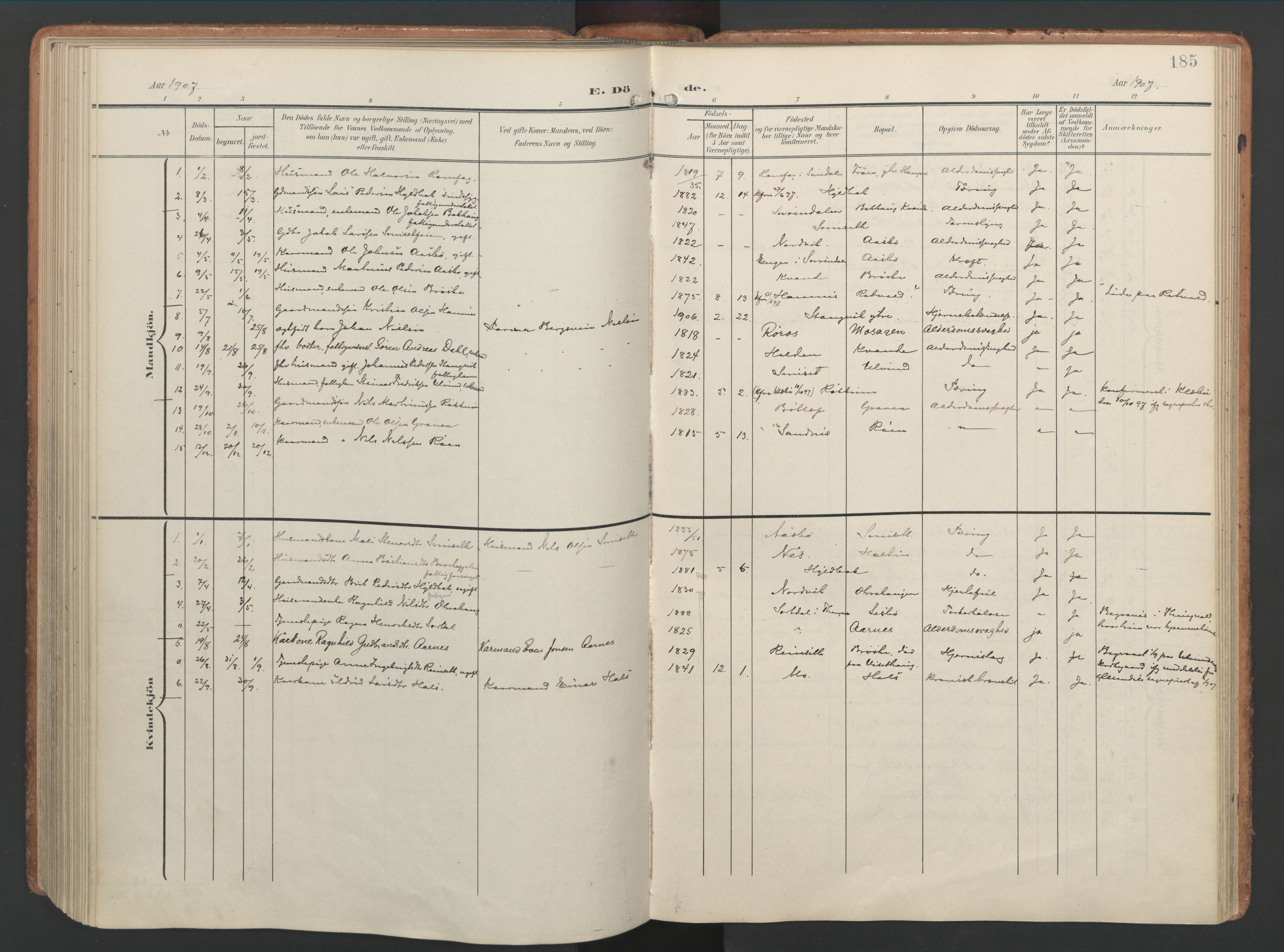 Ministerialprotokoller, klokkerbøker og fødselsregistre - Møre og Romsdal, AV/SAT-A-1454/592/L1030: Parish register (official) no. 592A08, 1901-1925, p. 185