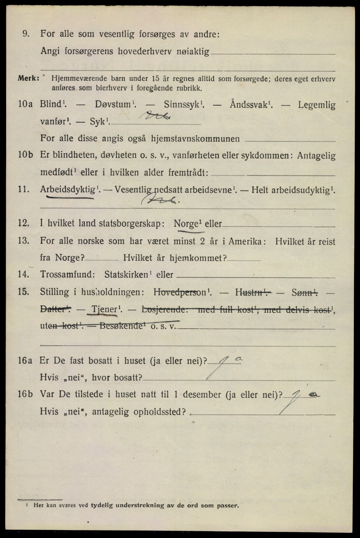 SAKO, 1920 census for Hønefoss, 1920, p. 6991