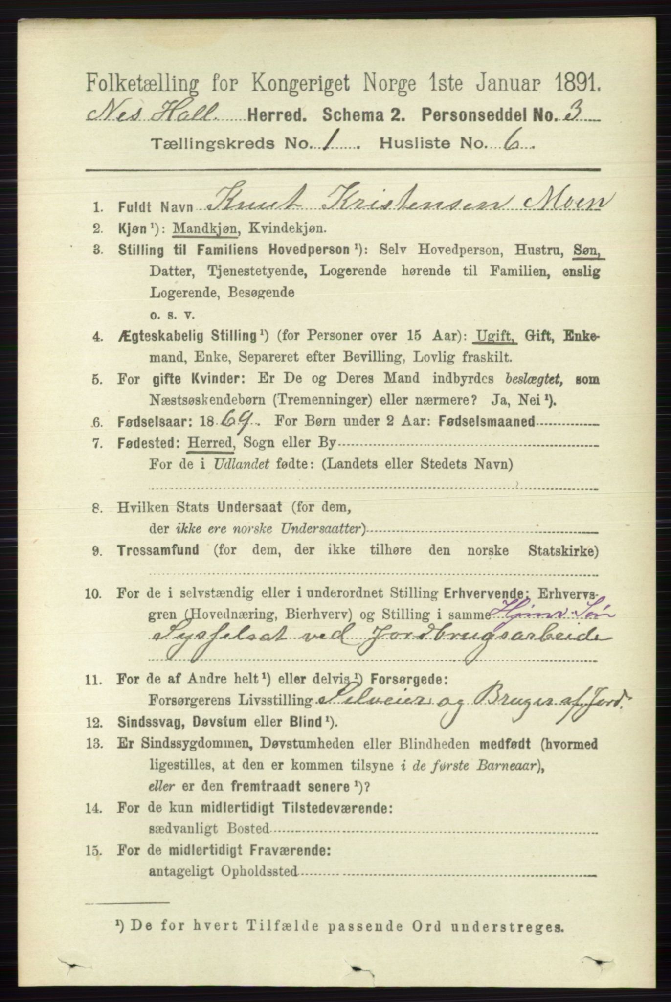 RA, 1891 census for 0616 Nes, 1891, p. 208