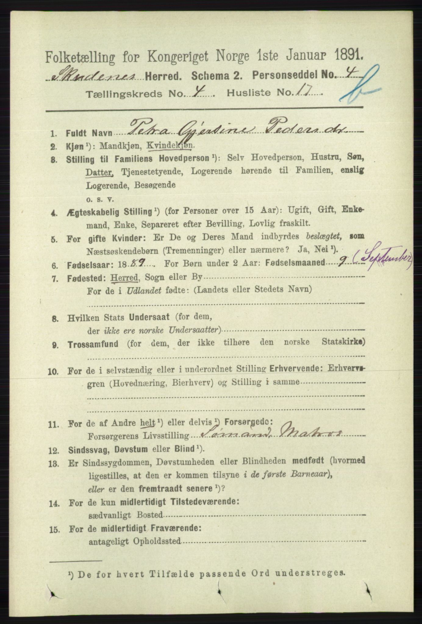 RA, 1891 census for 1150 Skudenes, 1891, p. 4626