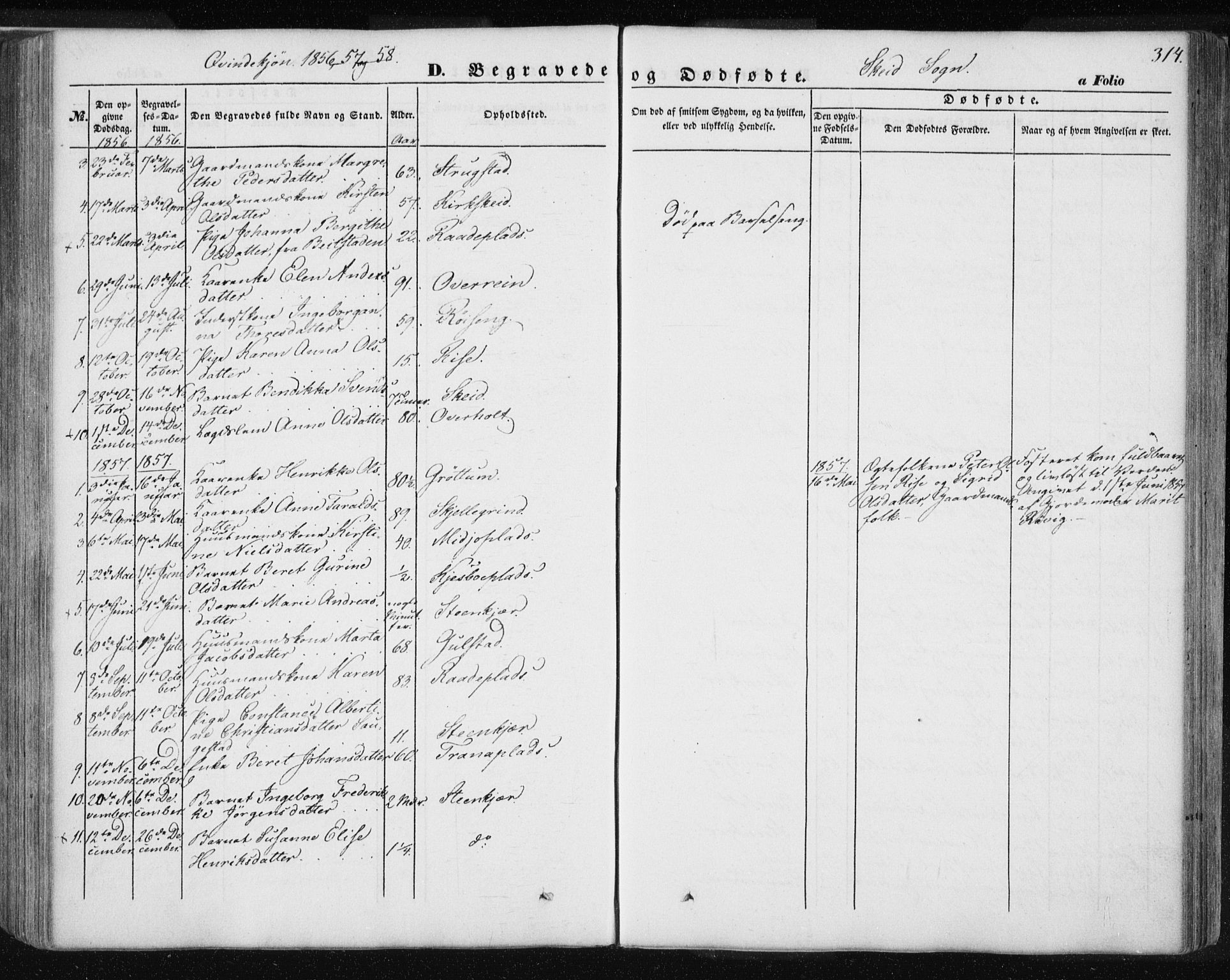 Ministerialprotokoller, klokkerbøker og fødselsregistre - Nord-Trøndelag, SAT/A-1458/735/L0342: Parish register (official) no. 735A07 /2, 1849-1862, p. 314