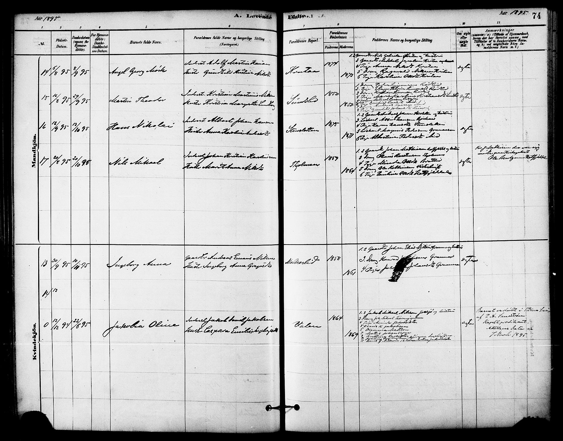 Ministerialprotokoller, klokkerbøker og fødselsregistre - Nordland, AV/SAT-A-1459/823/L0325: Parish register (official) no. 823A02, 1878-1898, p. 74