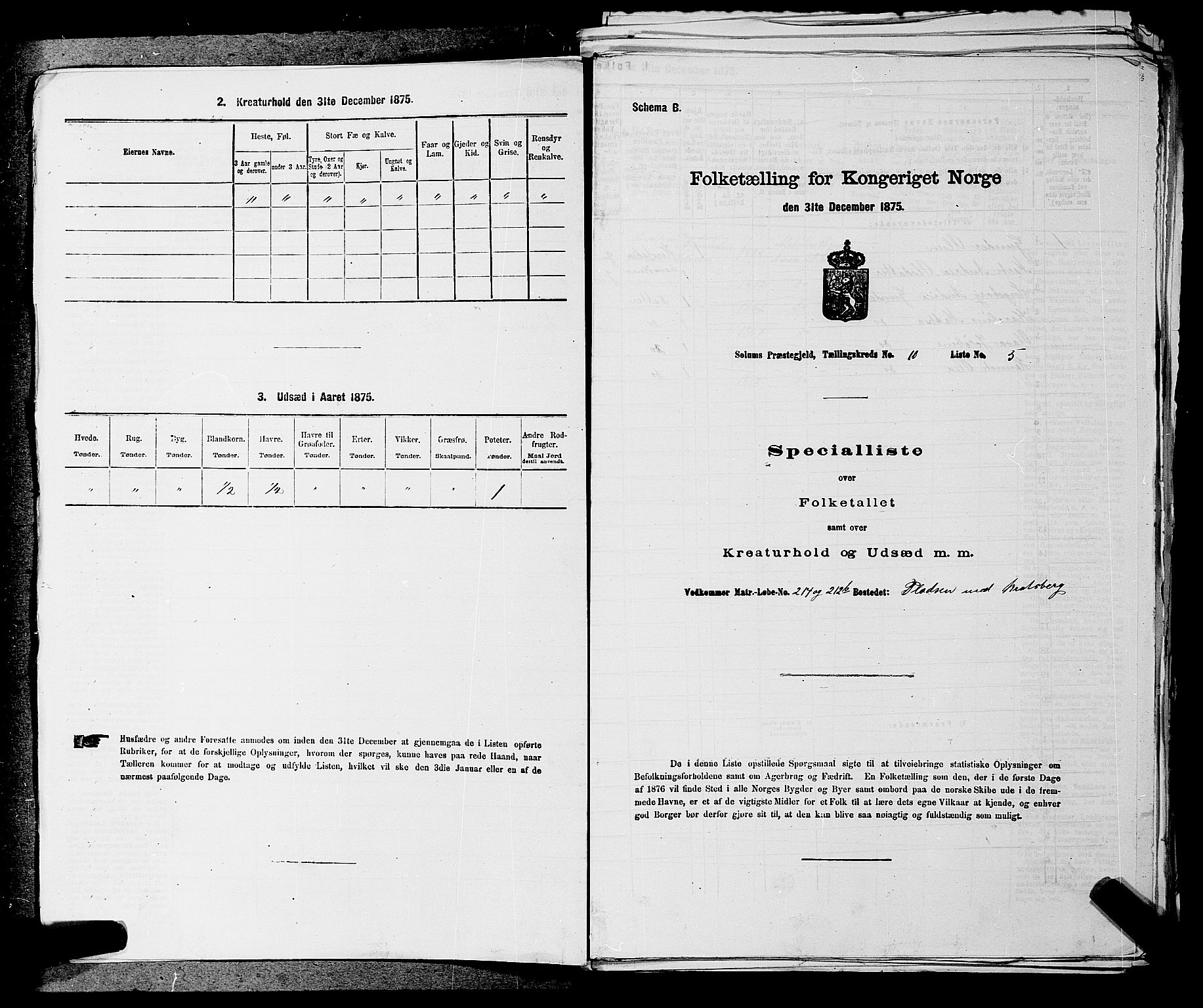 SAKO, 1875 census for 0818P Solum, 1875, p. 1472
