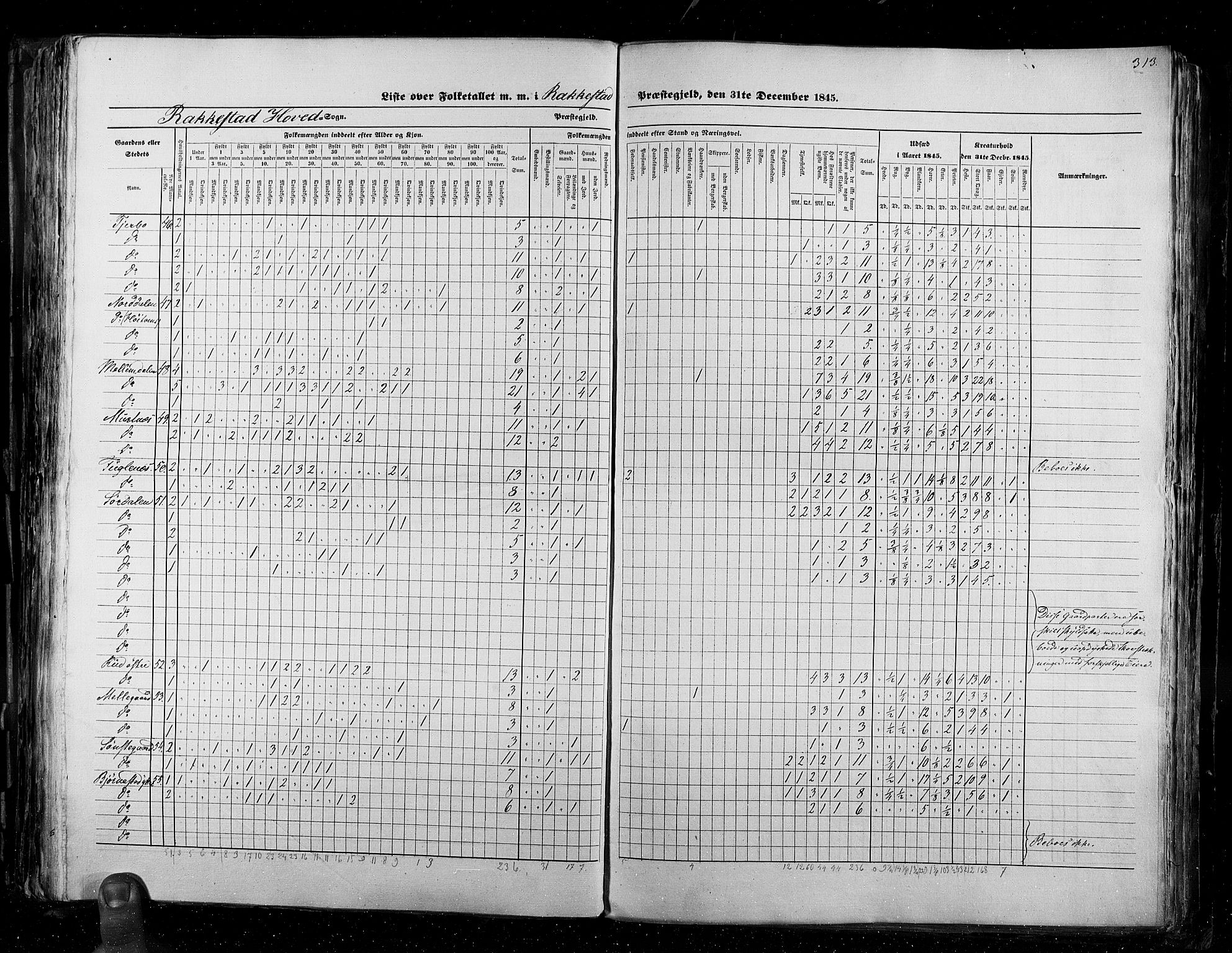 RA, Census 1845, vol. 2: Smålenenes amt og Akershus amt, 1845, p. 313