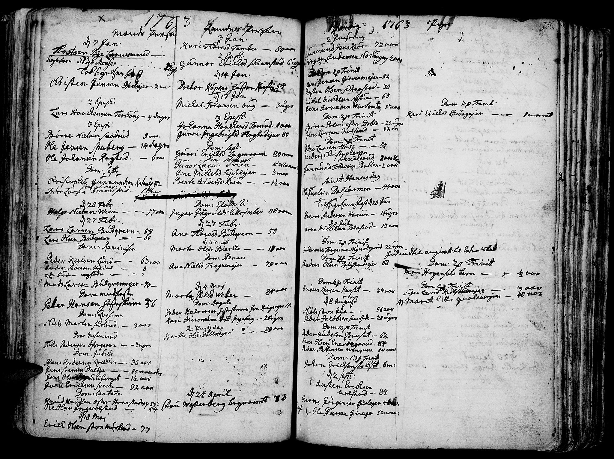 Vang prestekontor, Hedmark, SAH/PREST-008/H/Ha/Haa/L0003: Parish register (official) no. 3, 1734-1809, p. 256