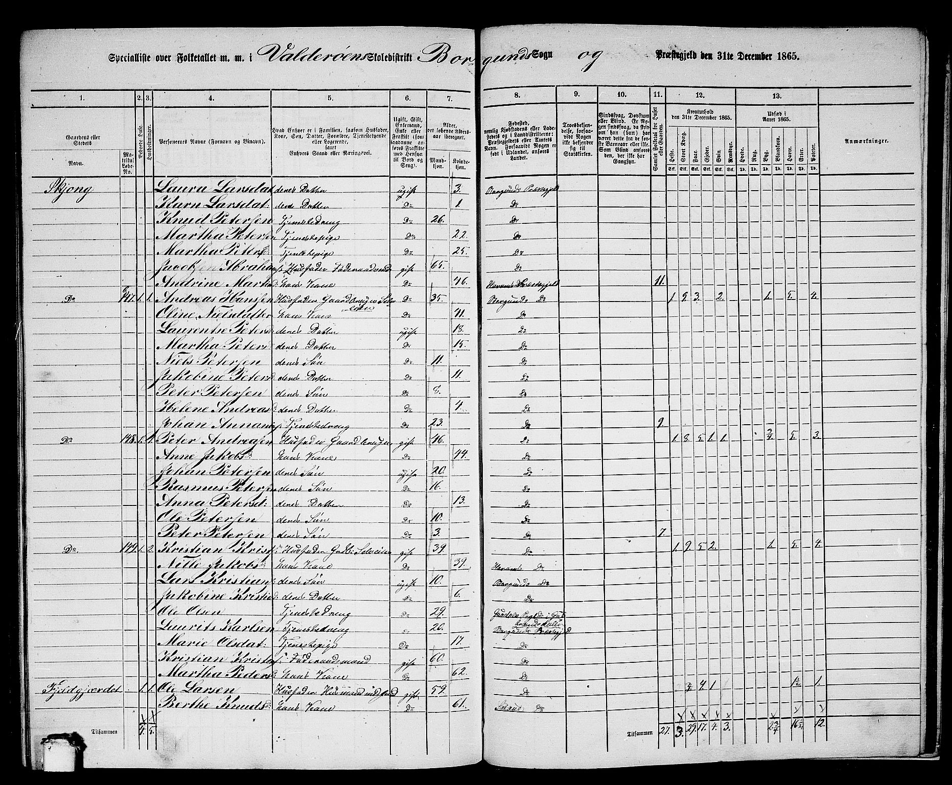 RA, 1865 census for Borgund, 1865, p. 249