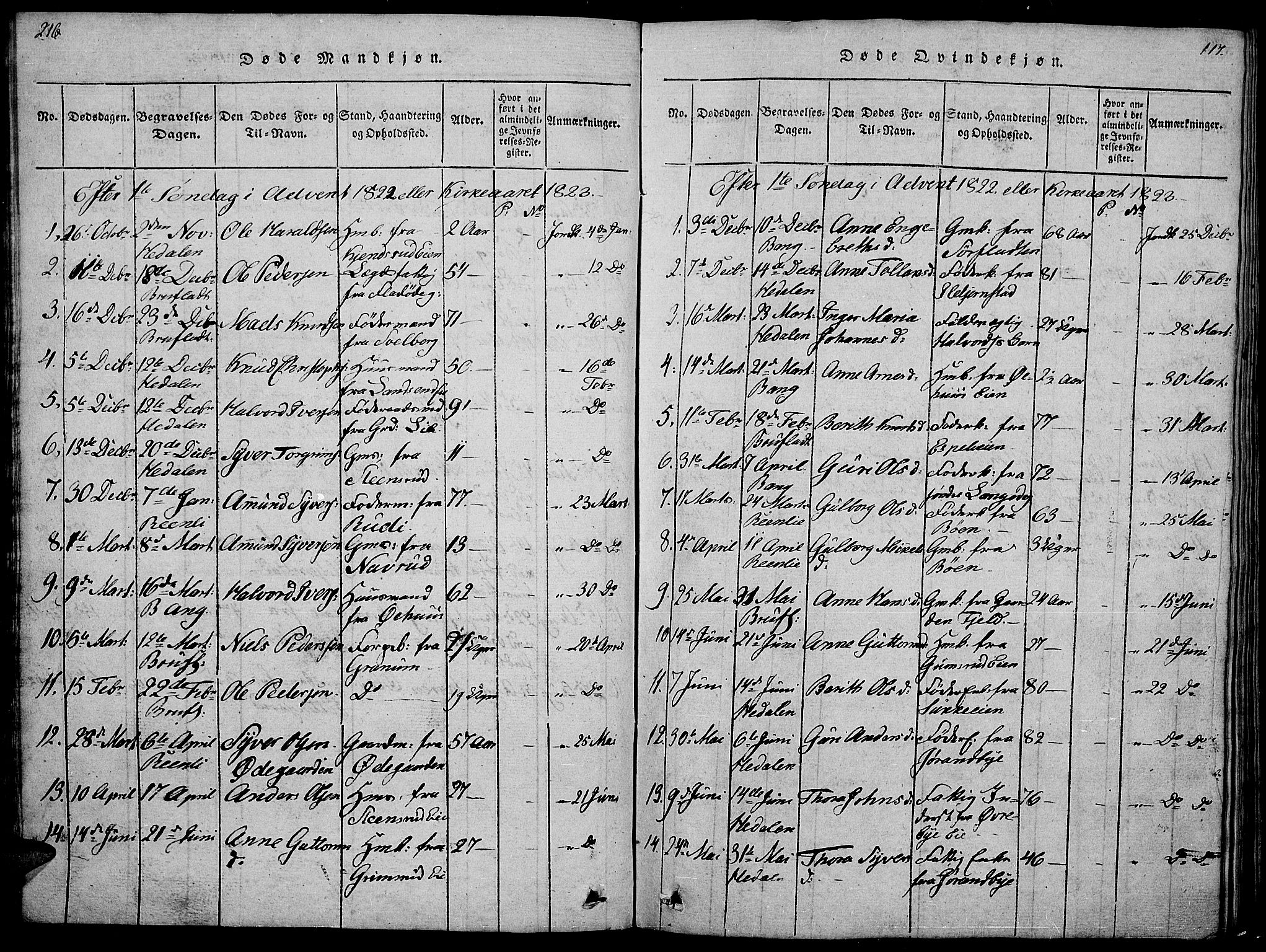 Sør-Aurdal prestekontor, SAH/PREST-128/H/Ha/Hab/L0001: Parish register (copy) no. 1, 1815-1826, p. 216-217