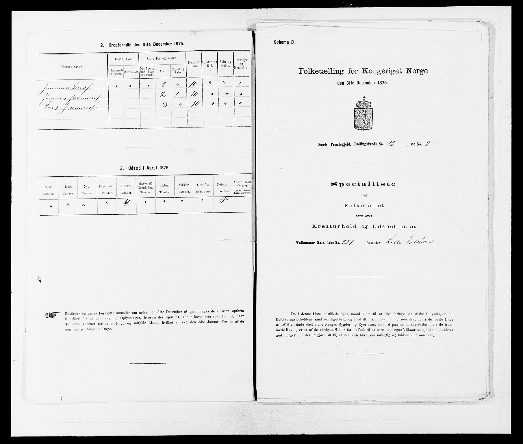 SAB, 1875 census for 1245P Sund, 1875, p. 1318