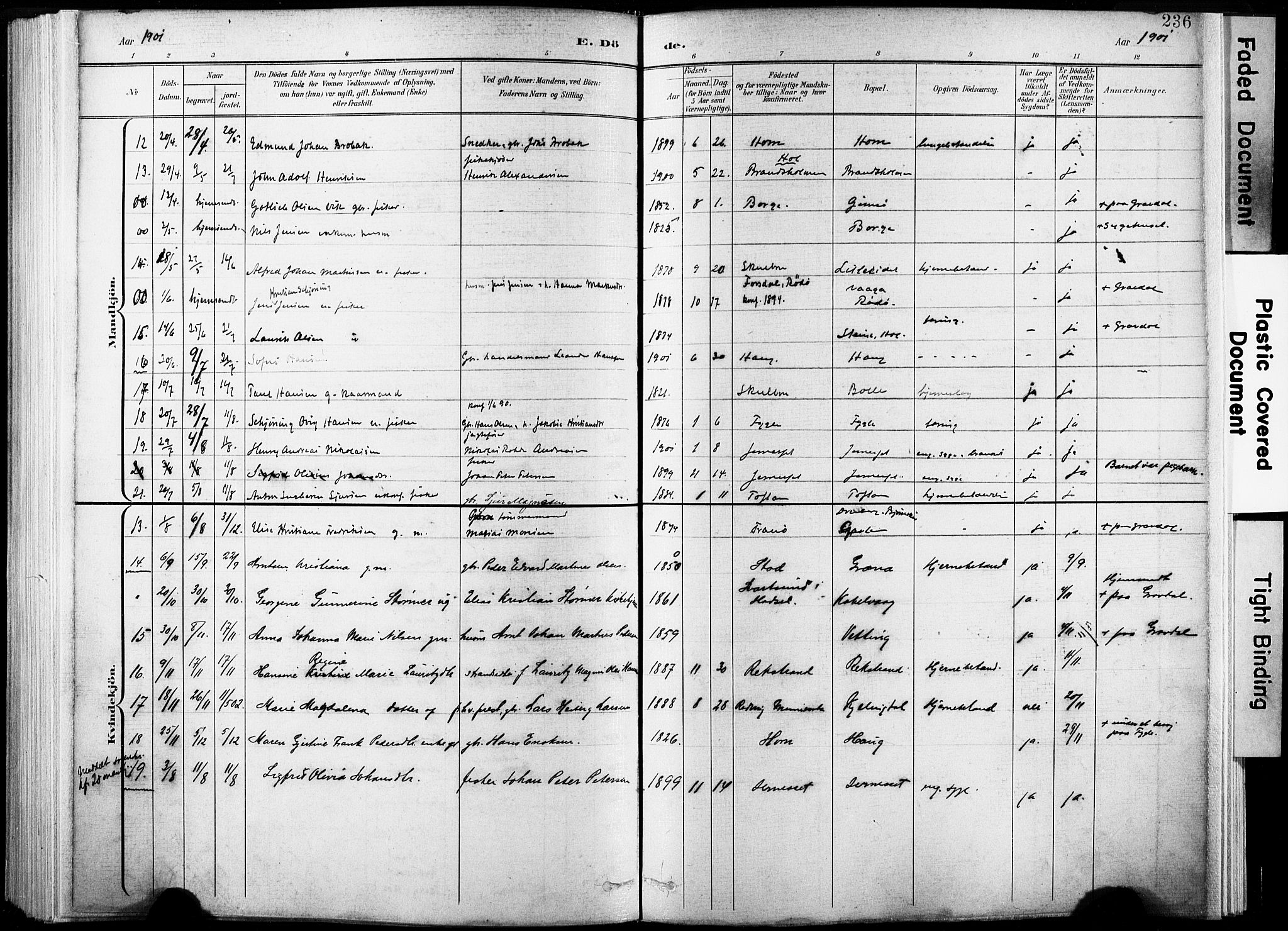 Ministerialprotokoller, klokkerbøker og fødselsregistre - Nordland, AV/SAT-A-1459/881/L1151: Parish register (official) no. 881A04, 1899-1907, p. 236