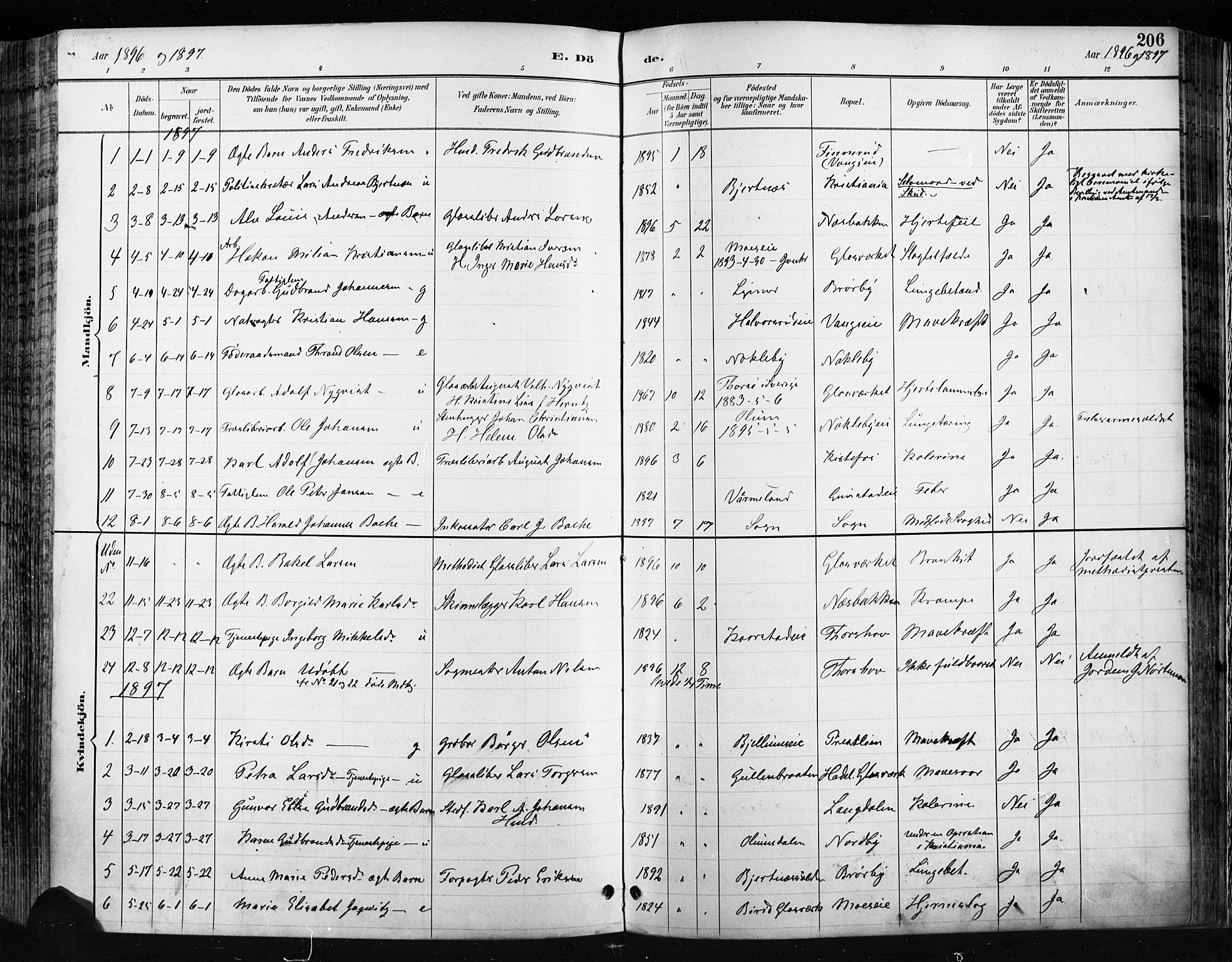 Jevnaker prestekontor, SAH/PREST-116/H/Ha/Haa/L0009: Parish register (official) no. 9, 1891-1901, p. 206