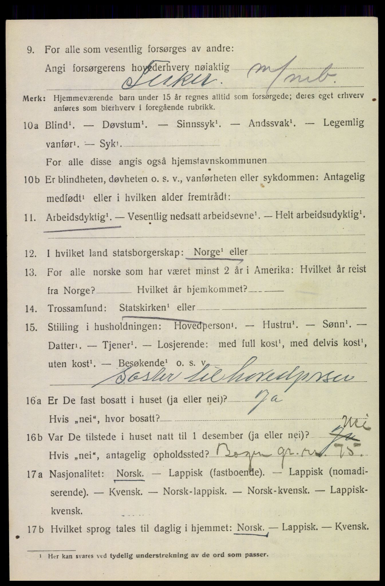 SAT, 1920 census for Tysfjord, 1920, p. 4042