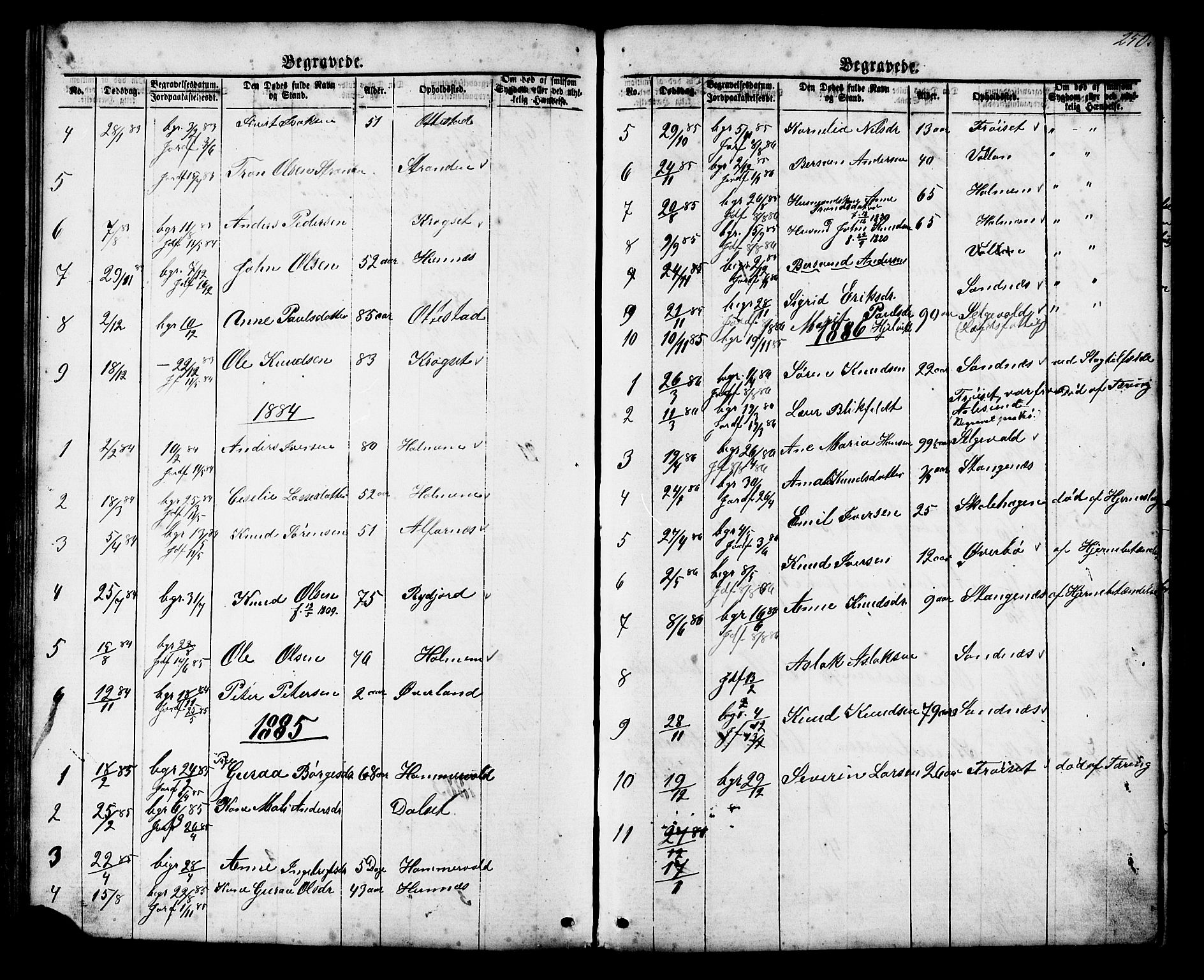 Ministerialprotokoller, klokkerbøker og fødselsregistre - Møre og Romsdal, SAT/A-1454/548/L0614: Parish register (copy) no. 548C02, 1867-1917, p. 250