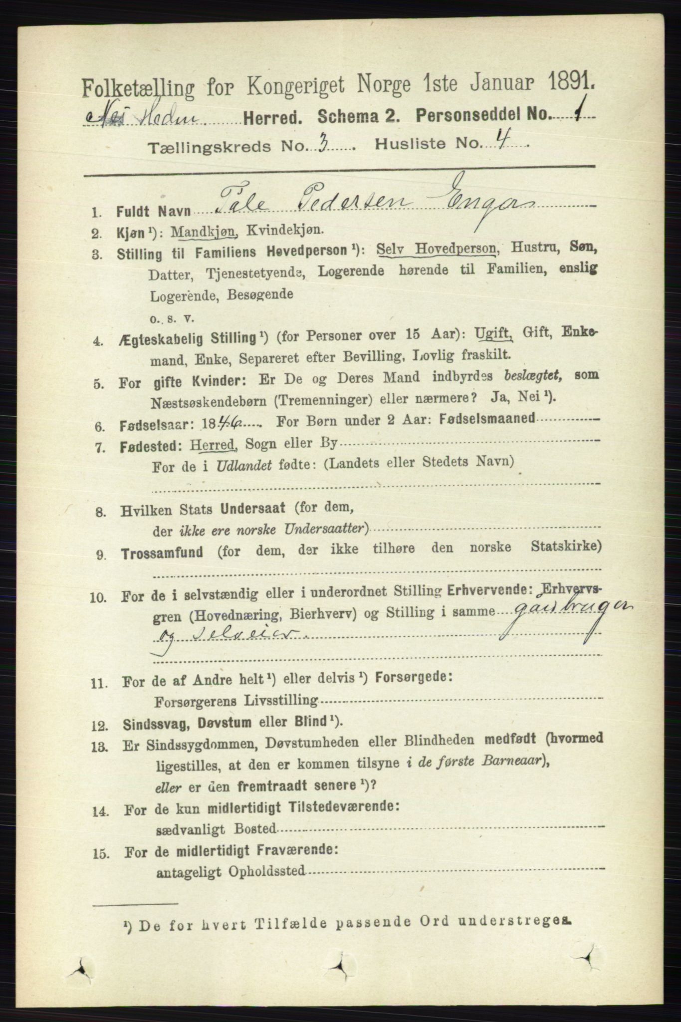 RA, 1891 census for 0411 Nes, 1891, p. 1612