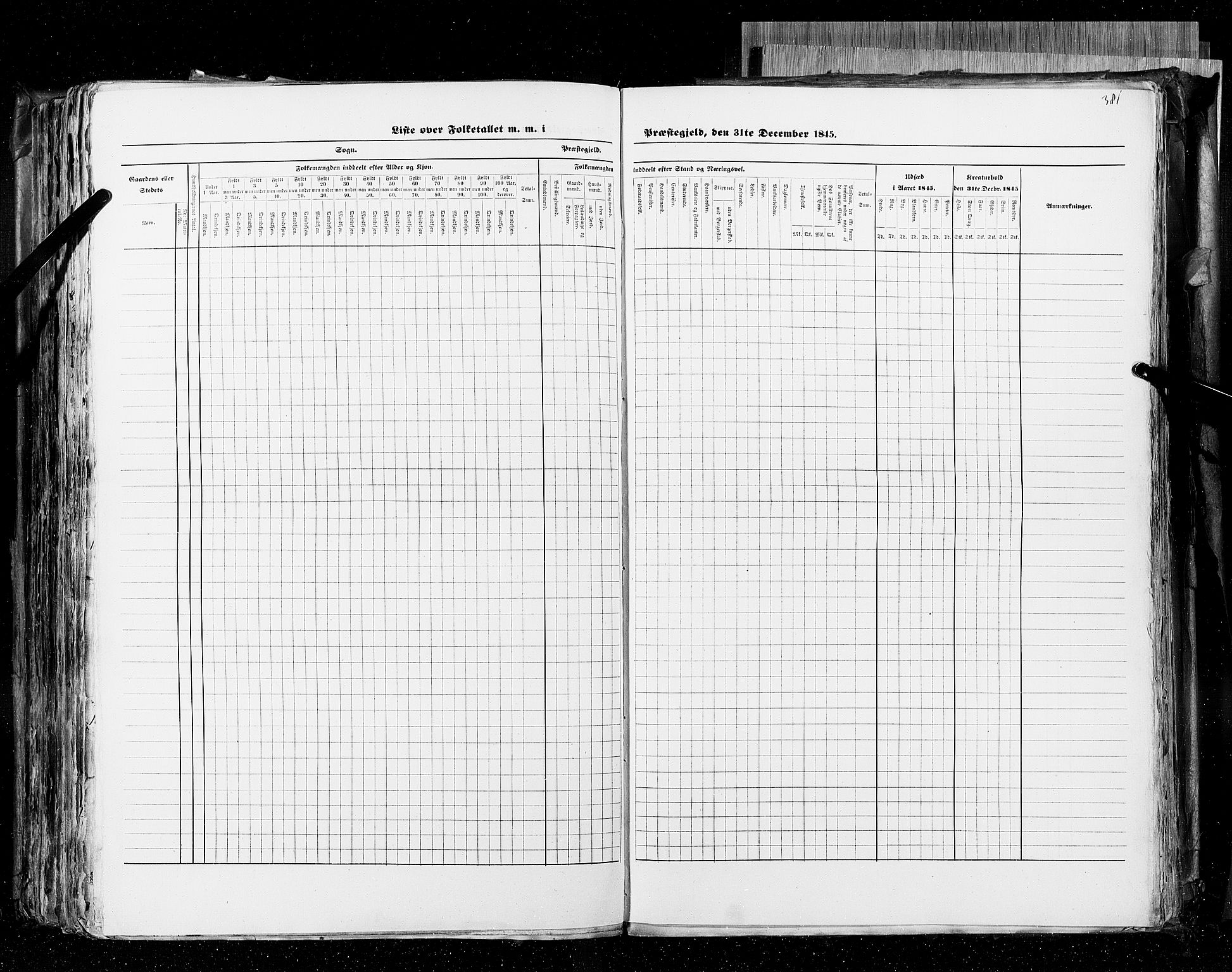 RA, Census 1845, vol. 4: Buskerud amt og Jarlsberg og Larvik amt, 1845, p. 381