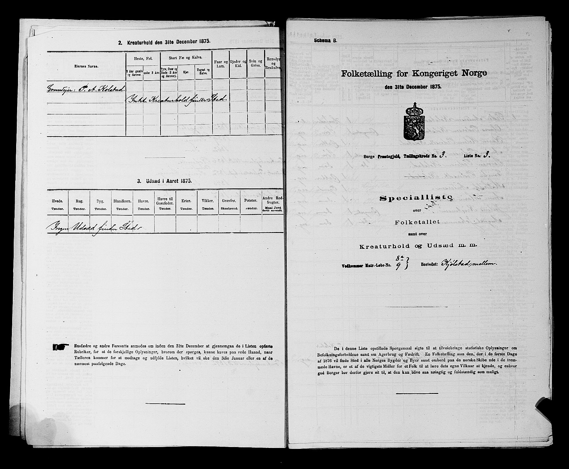 RA, 1875 census for 0113P Borge, 1875, p. 388