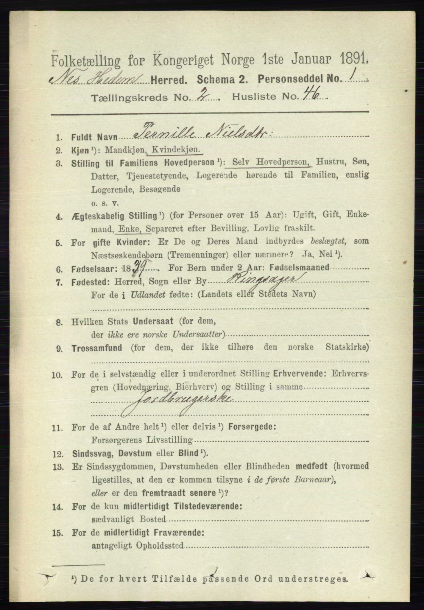 RA, 1891 census for 0411 Nes, 1891, p. 1401