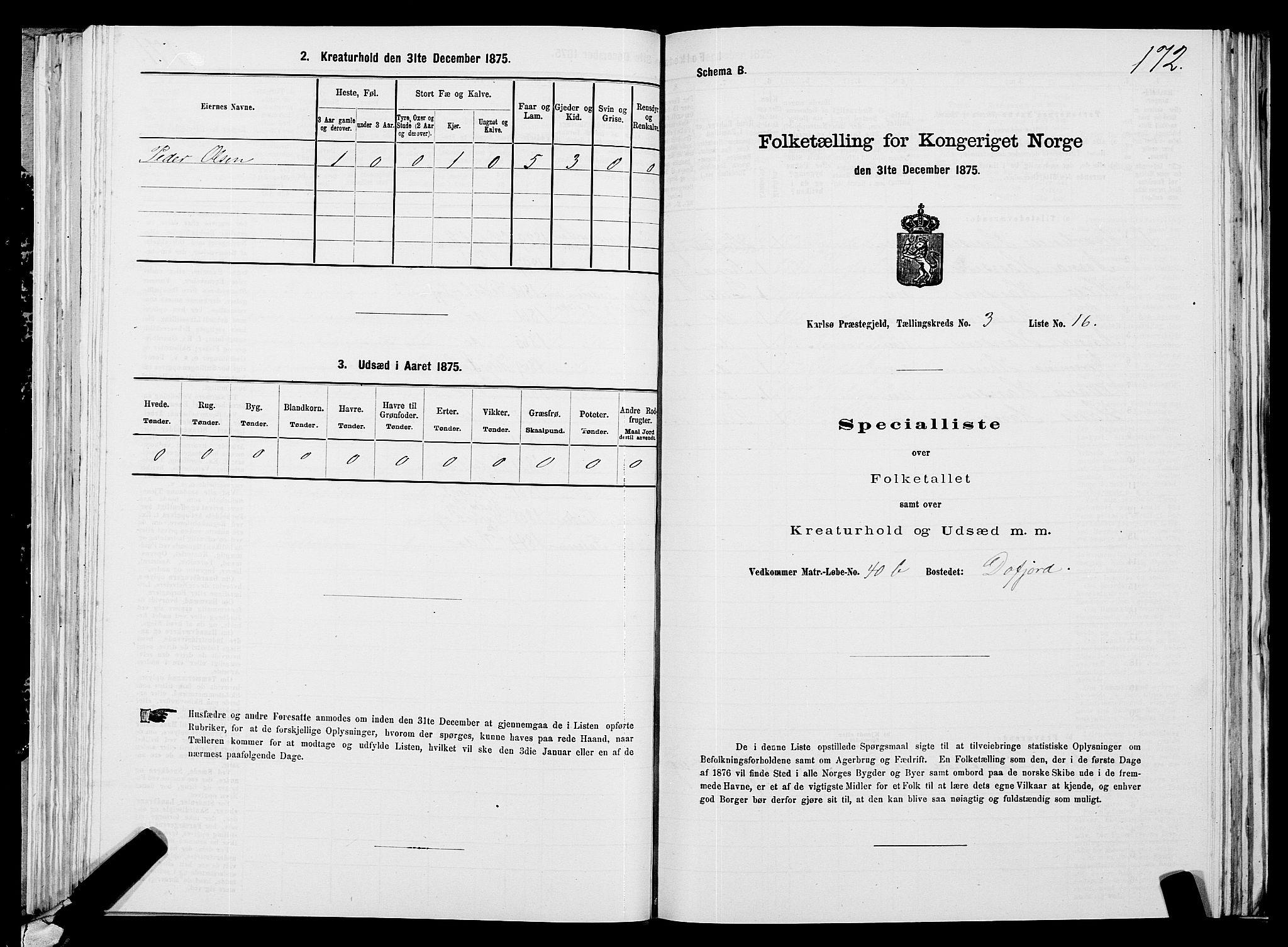 SATØ, 1875 census for 1936P Karlsøy, 1875, p. 2172