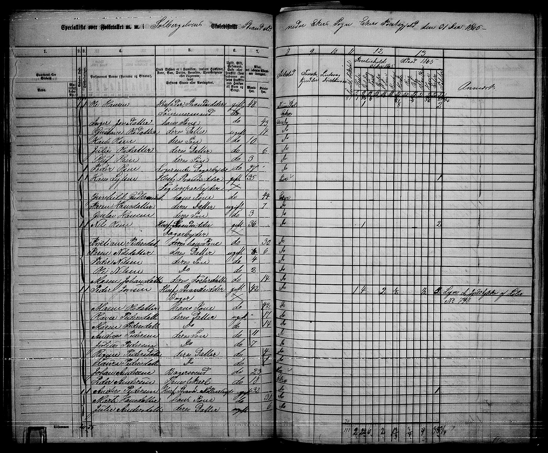 RA, 1865 census for Eiker, 1865, p. 362