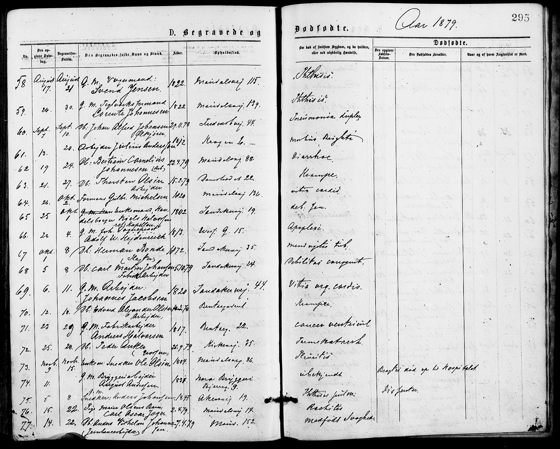 Gamle Aker prestekontor Kirkebøker, SAO/A-10617a/G/L0004: Parish register (copy) no. 4, 1875-1879, p. 295