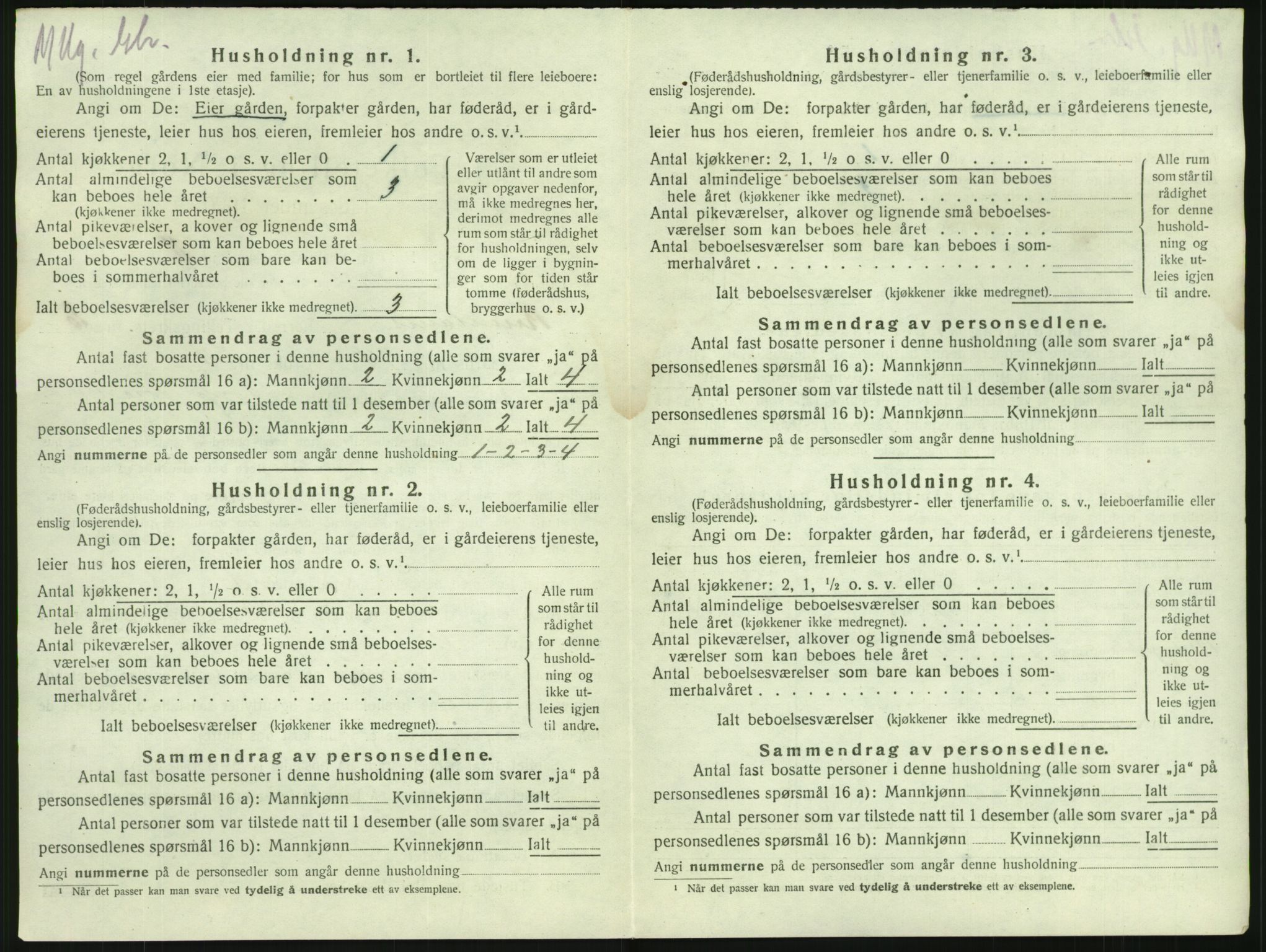 SAKO, 1920 census for Brunlanes, 1920, p. 1268