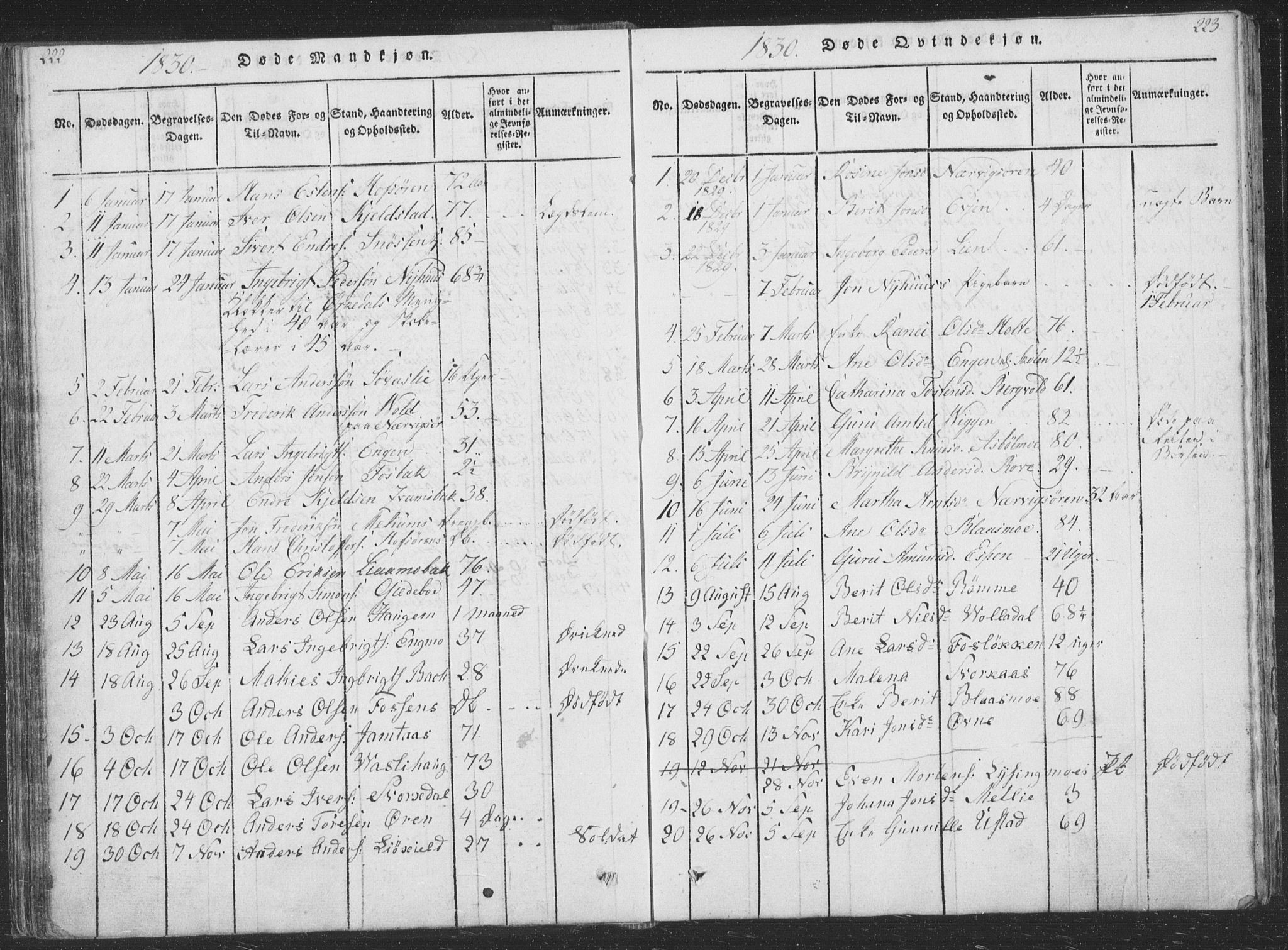 Ministerialprotokoller, klokkerbøker og fødselsregistre - Sør-Trøndelag, SAT/A-1456/668/L0816: Parish register (copy) no. 668C05, 1816-1893, p. 222-223