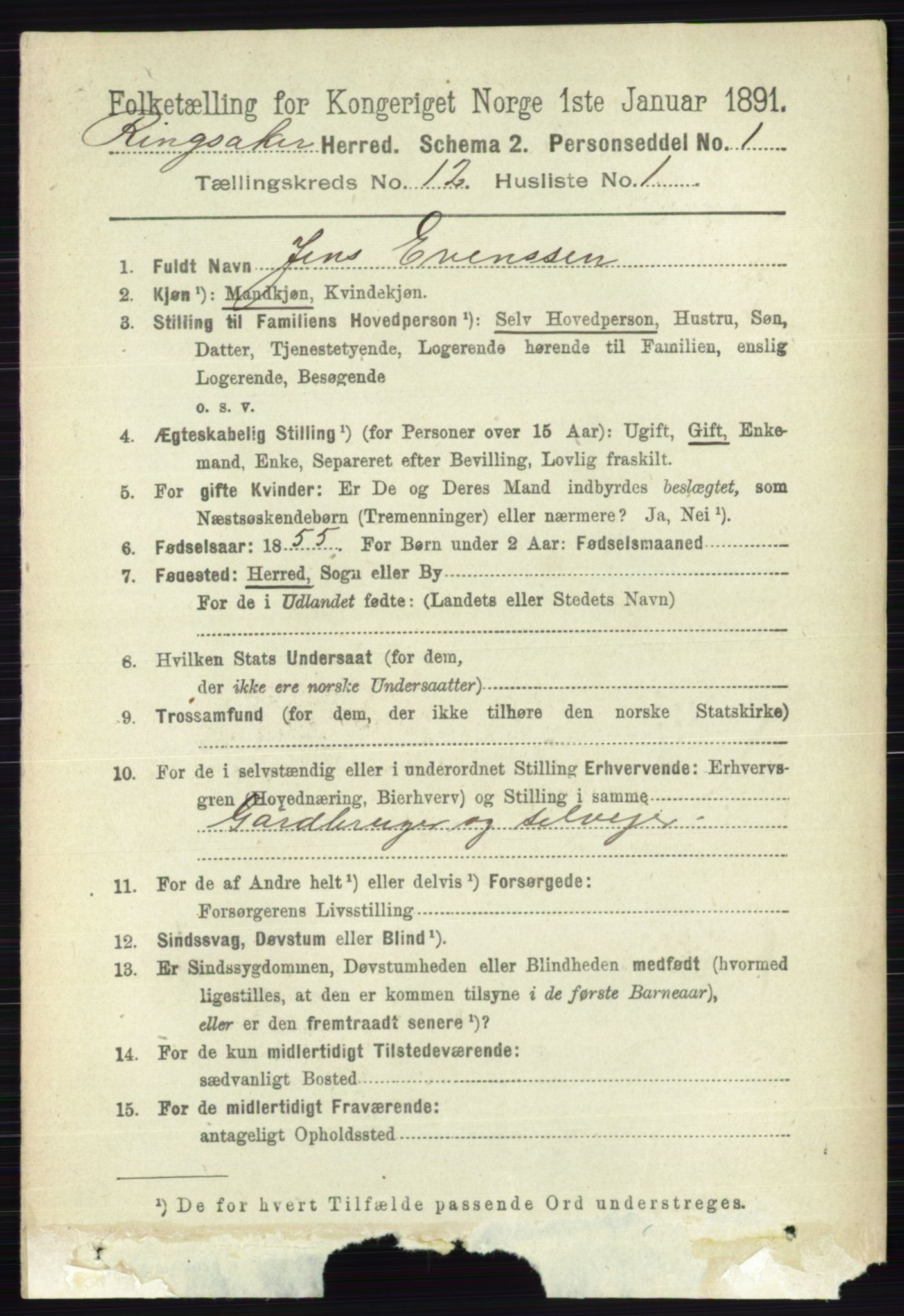 RA, 1891 census for 0412 Ringsaker, 1891, p. 6762