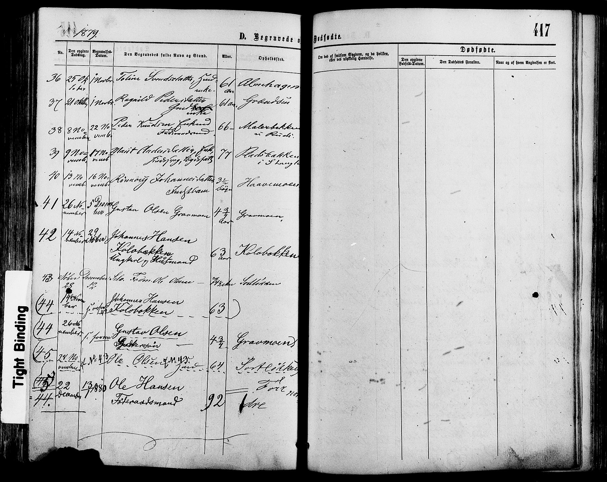 Sør-Fron prestekontor, AV/SAH-PREST-010/H/Ha/Haa/L0002: Parish register (official) no. 2, 1864-1880, p. 417