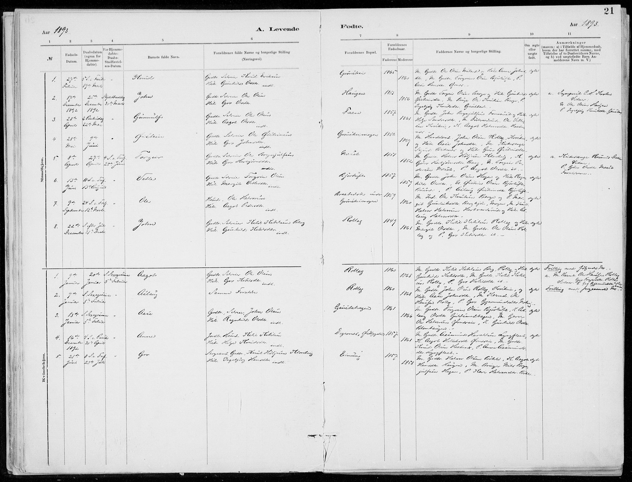 Tinn kirkebøker, SAKO/A-308/F/Fb/L0002: Parish register (official) no. II 2, 1878-1917, p. 21