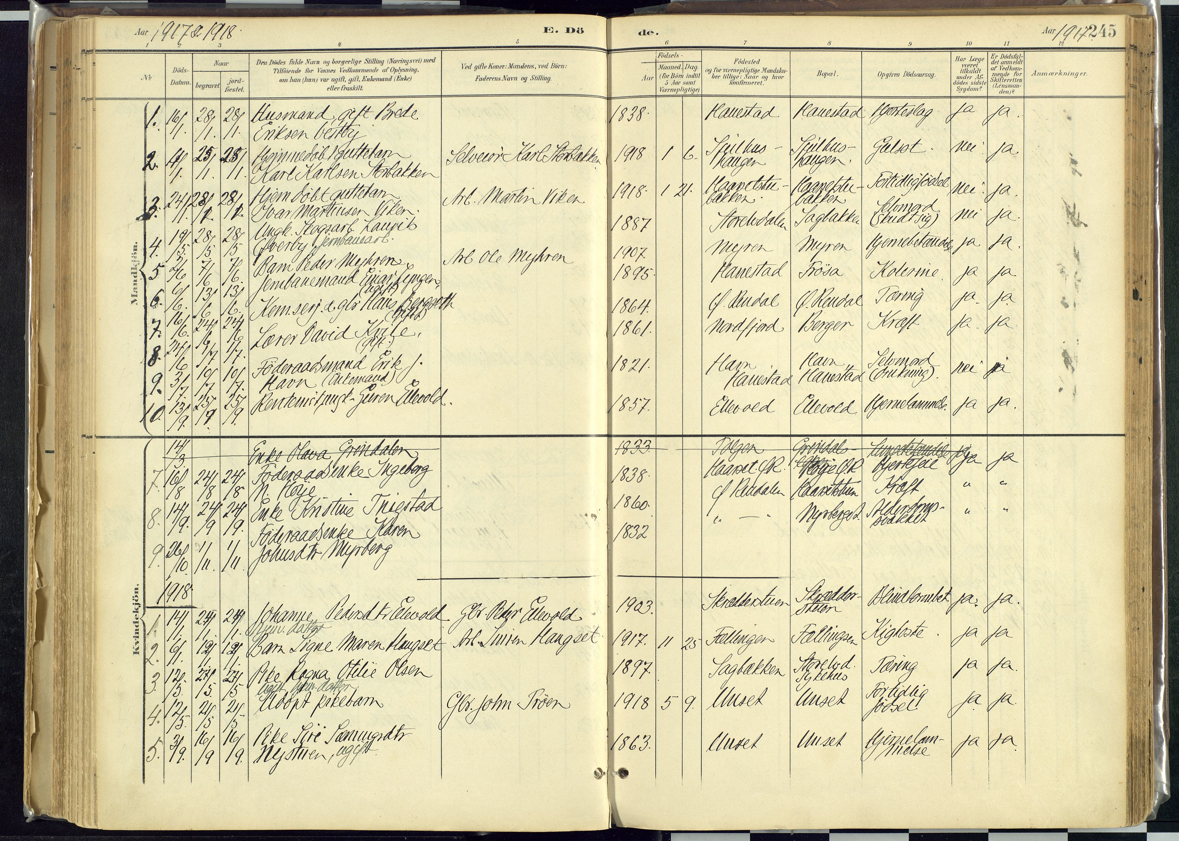 Rendalen prestekontor, SAH/PREST-054/H/Ha/Haa/L0012: Parish register (official) no. 12, 1901-1928, p. 245