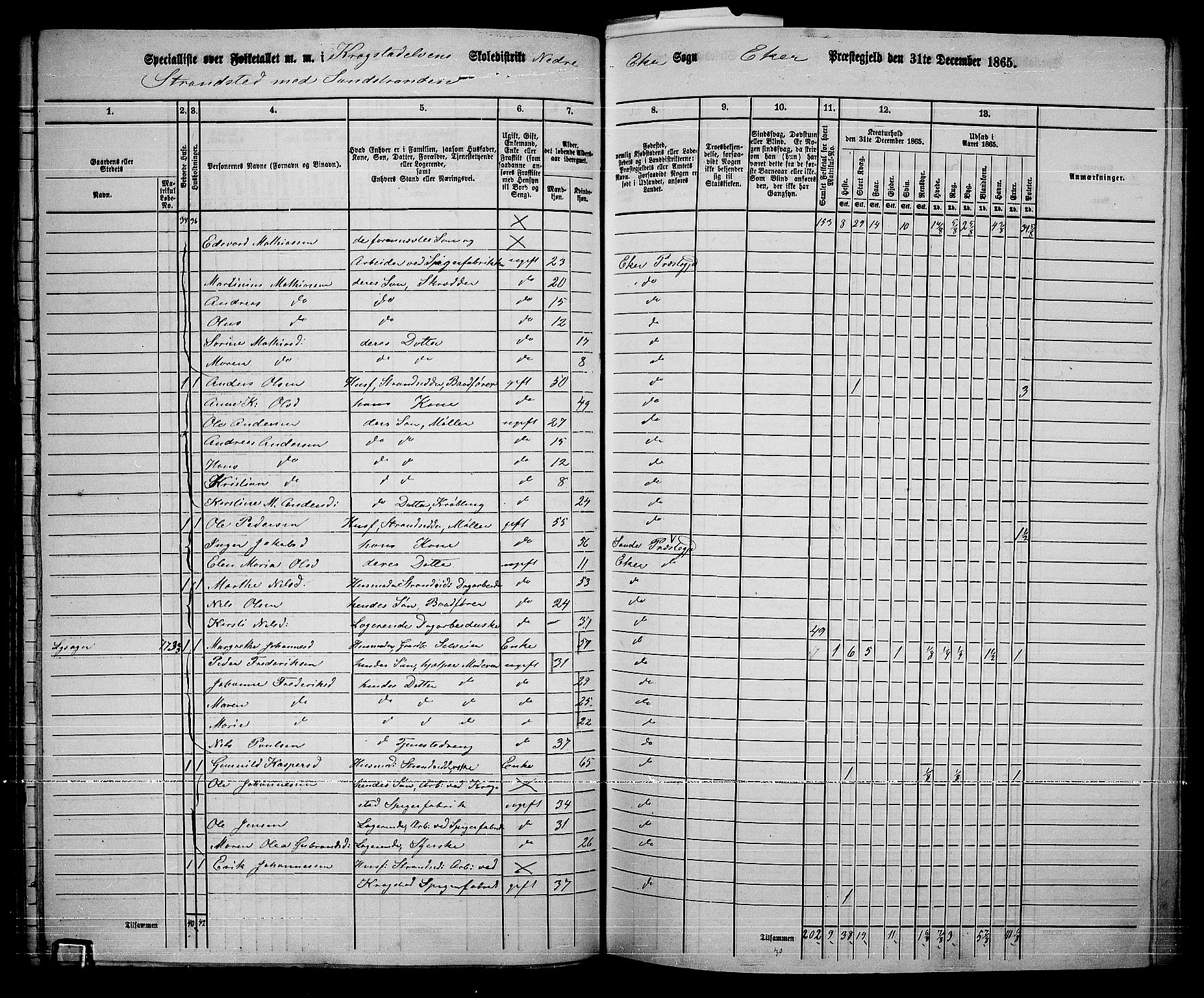 RA, 1865 census for Eiker, 1865, p. 373