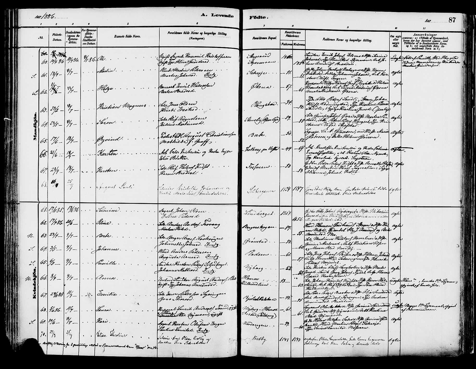 Elverum prestekontor, AV/SAH-PREST-044/H/Ha/Haa/L0013: Parish register (official) no. 13, 1880-1890, p. 87