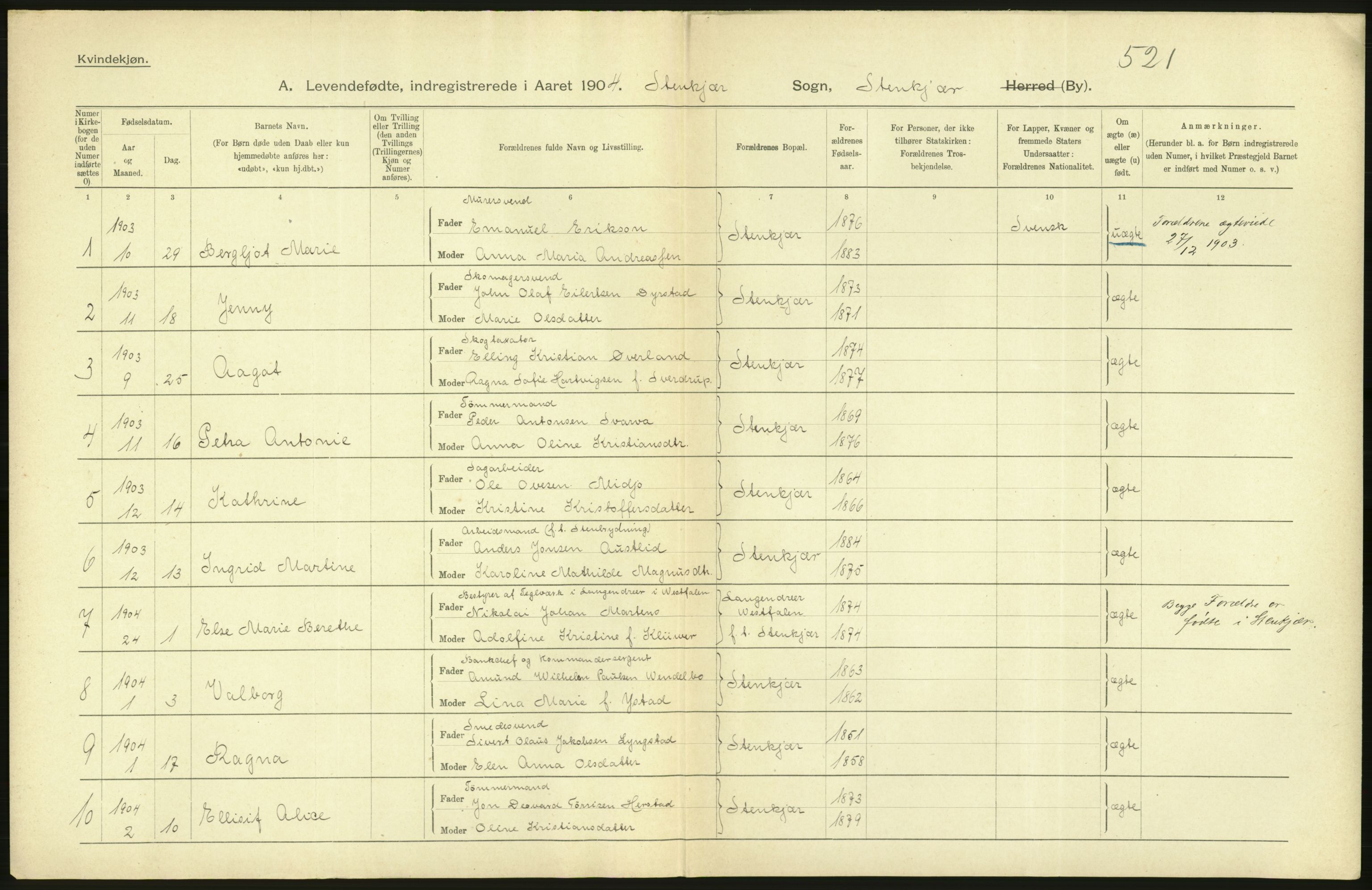 Statistisk sentralbyrå, Sosiodemografiske emner, Befolkning, AV/RA-S-2228/D/Df/Dfa/Dfab/L0019: Nordre Trondhjems amt: Fødte, gifte, døde, 1904, p. 16