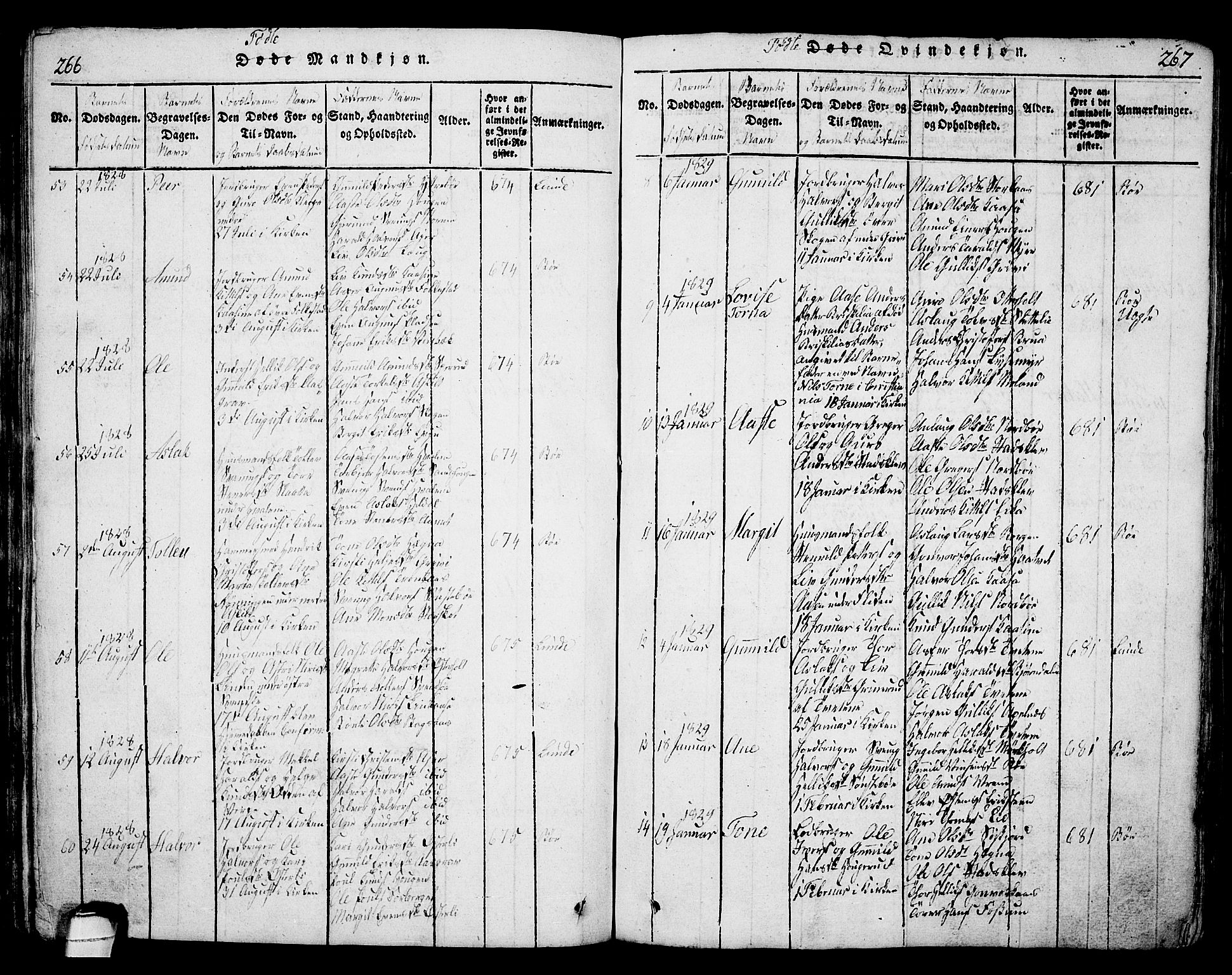 Bø kirkebøker, SAKO/A-257/G/Ga/L0001: Parish register (copy) no. 1, 1815-1831, p. 266-267